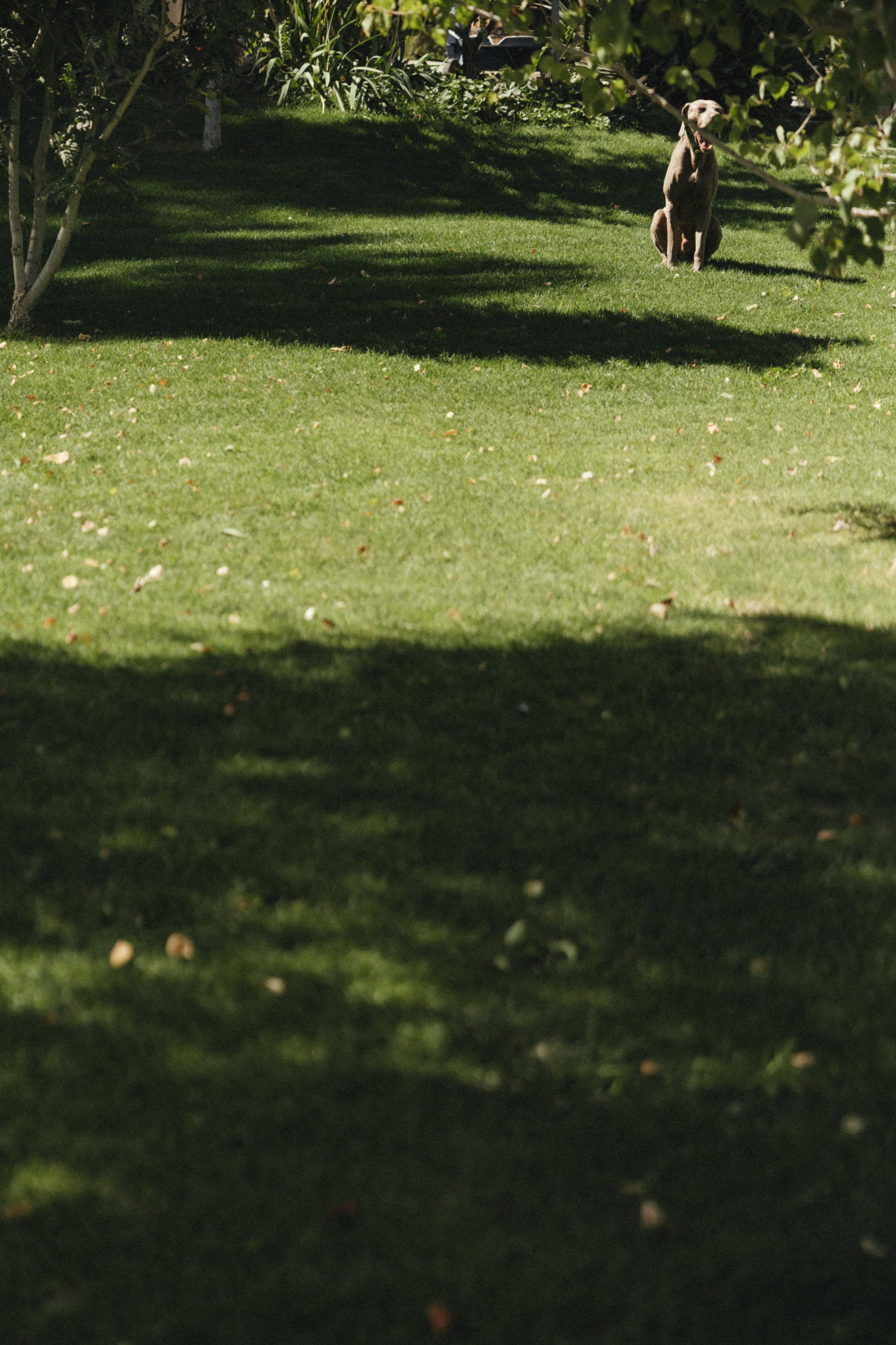 Итальянская свадьба в Крыму (серия собирается). Свадебный и семейный фотограф и видеограф, Крым, Москва, Санкт -Петербург