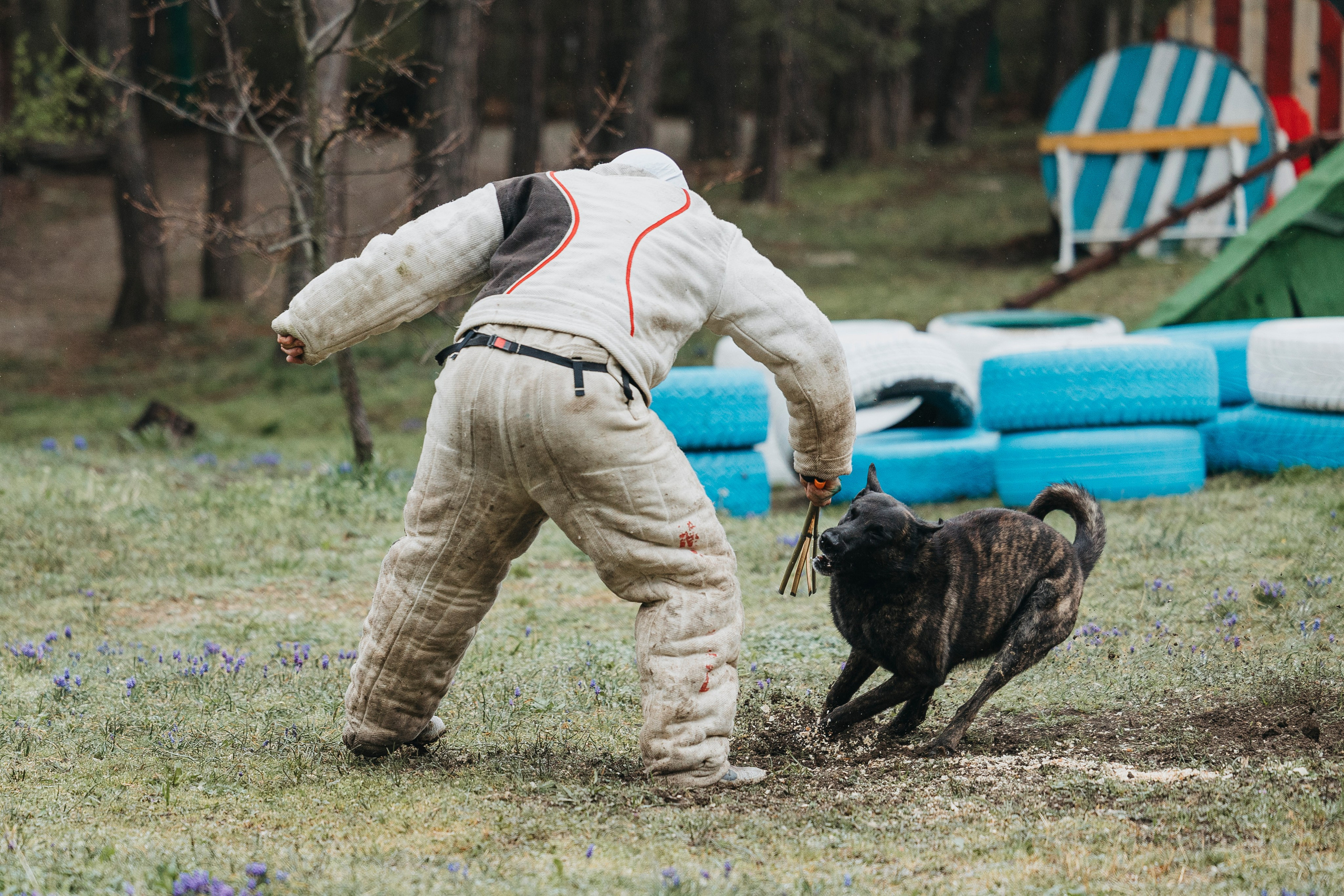 Геленджик Мондьоринг. Фотограф-анималист Анна Маринич