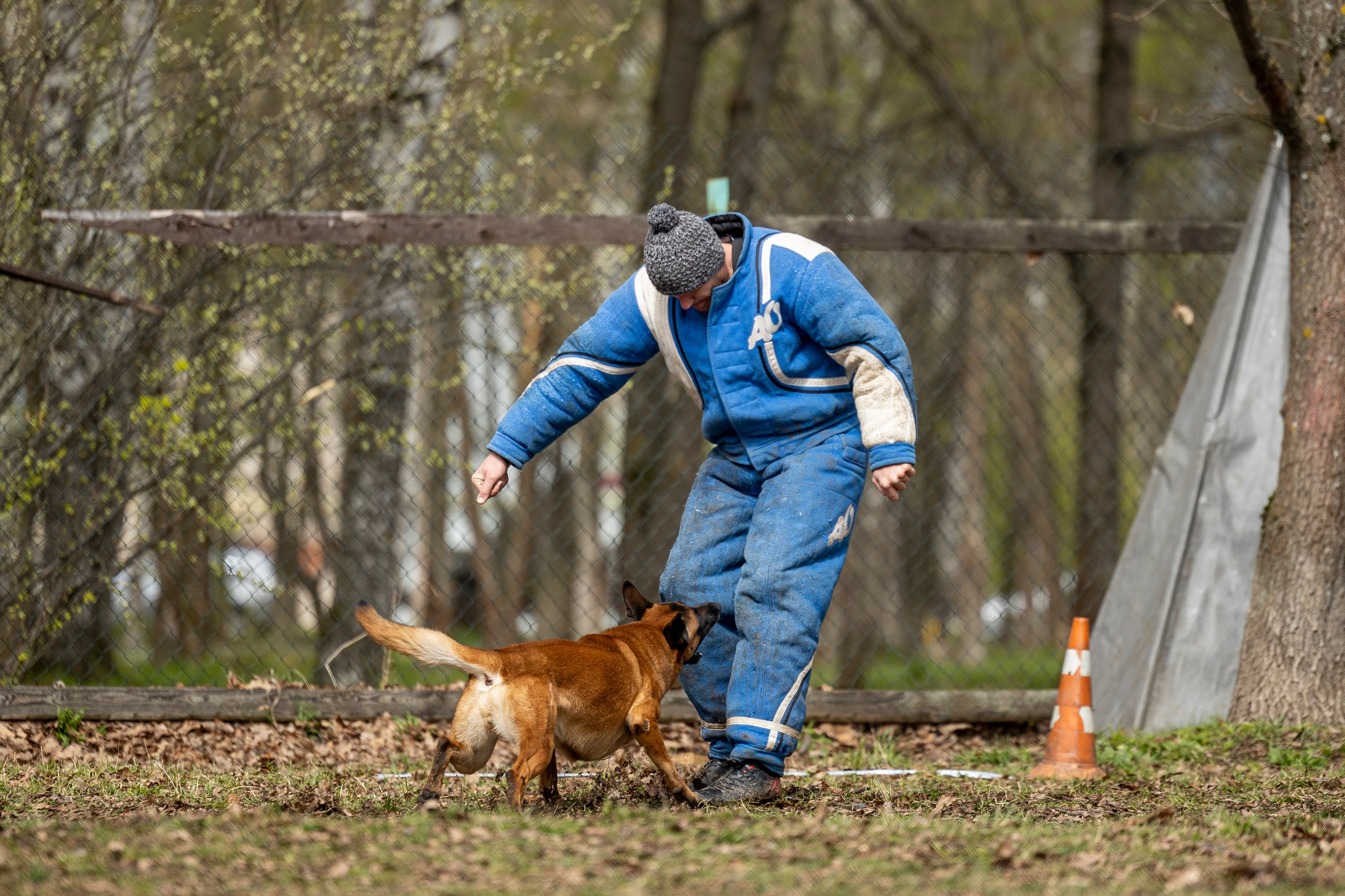 Квалификационные состязания по мондьорингу г. Вологда 11.05.24. Фотограф-анималист Анна Маринич