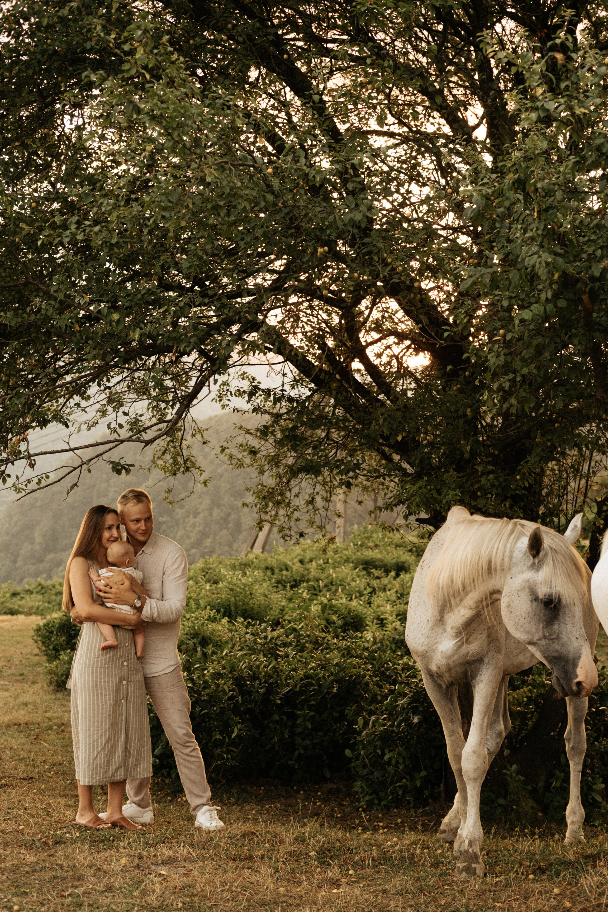 Лиза, Нина, Денис. Главная