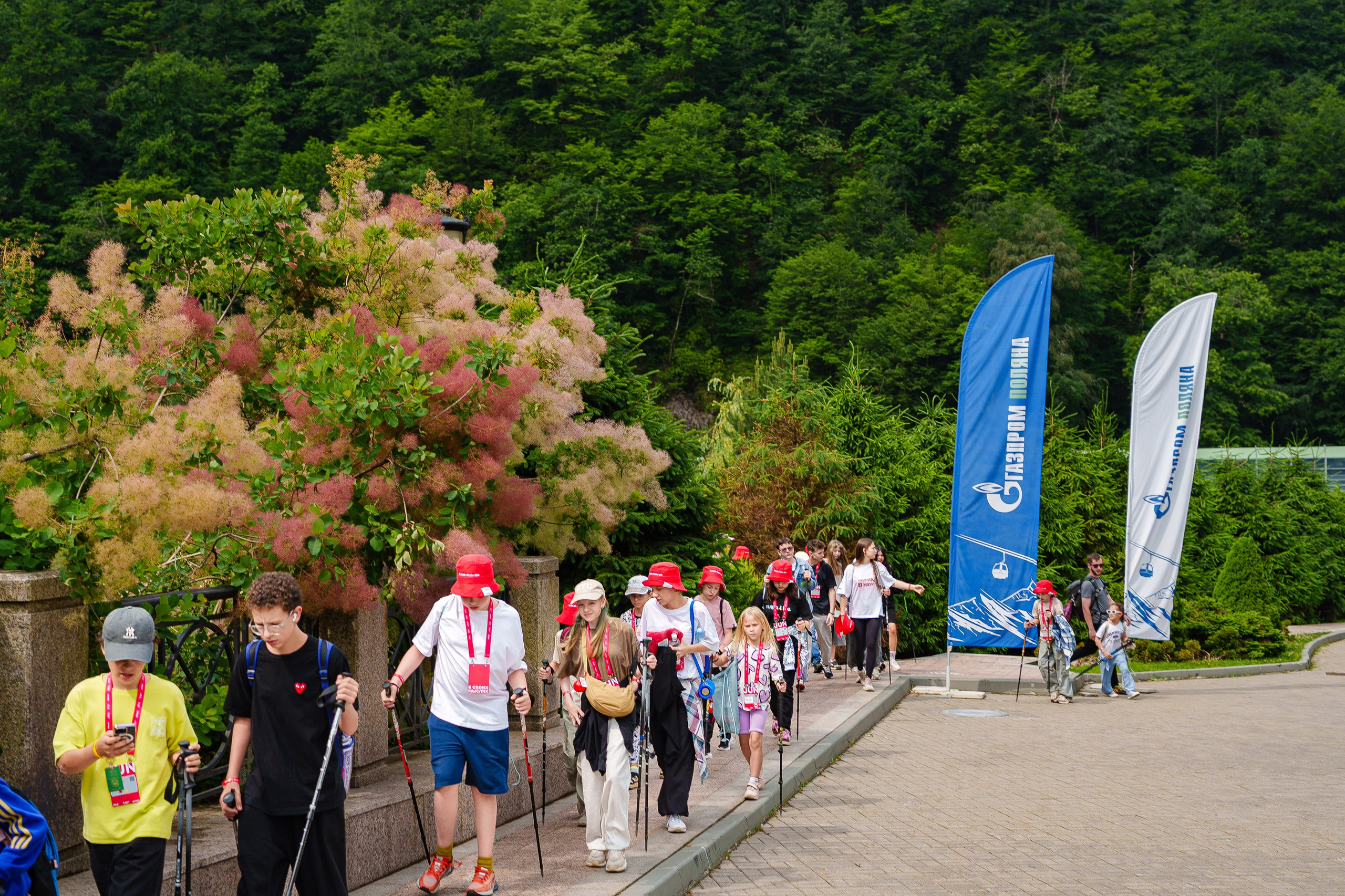 South HUB Family. South HUB