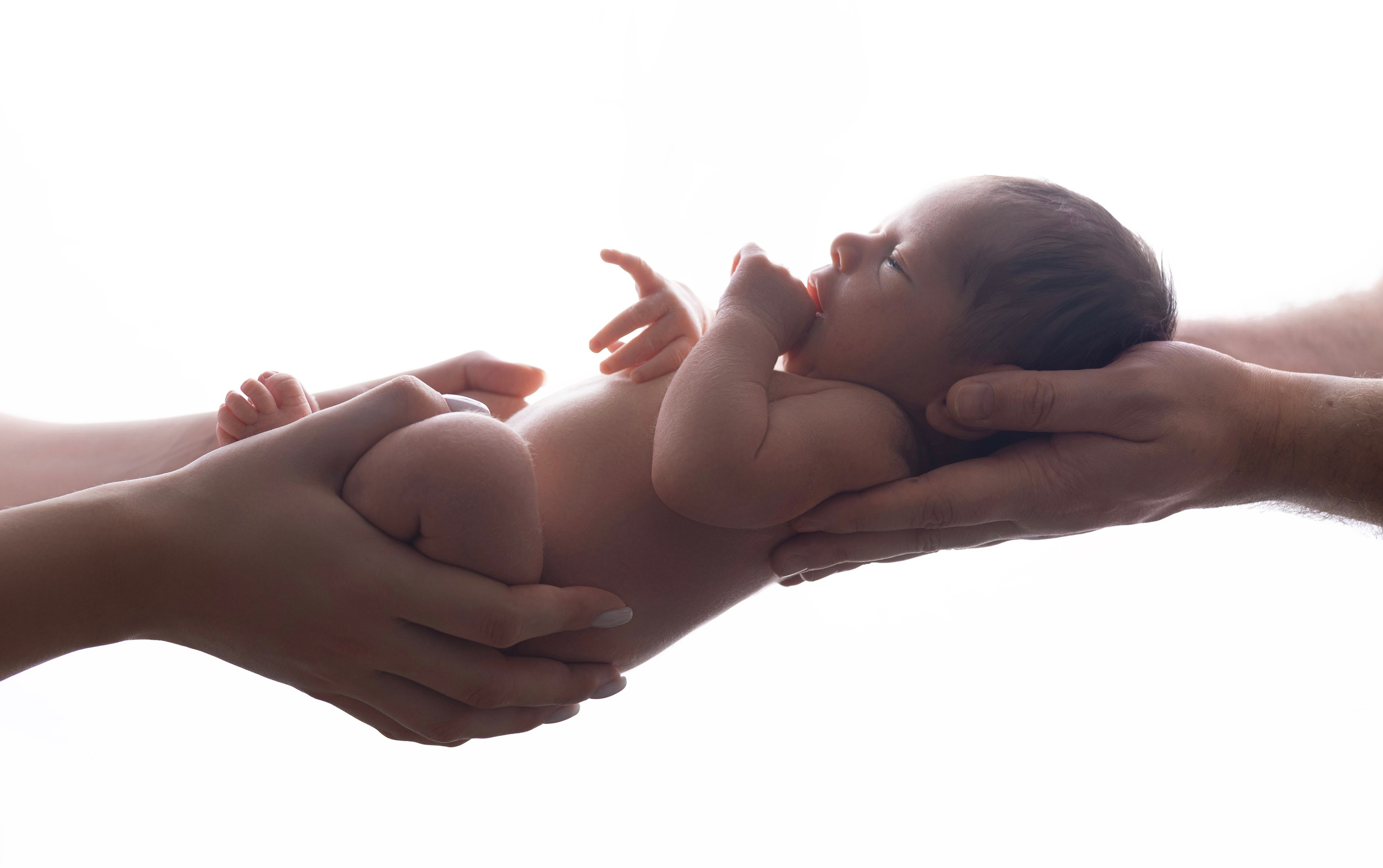 Newborn мальчики. Фотограф новорожденных Модяева Ирина