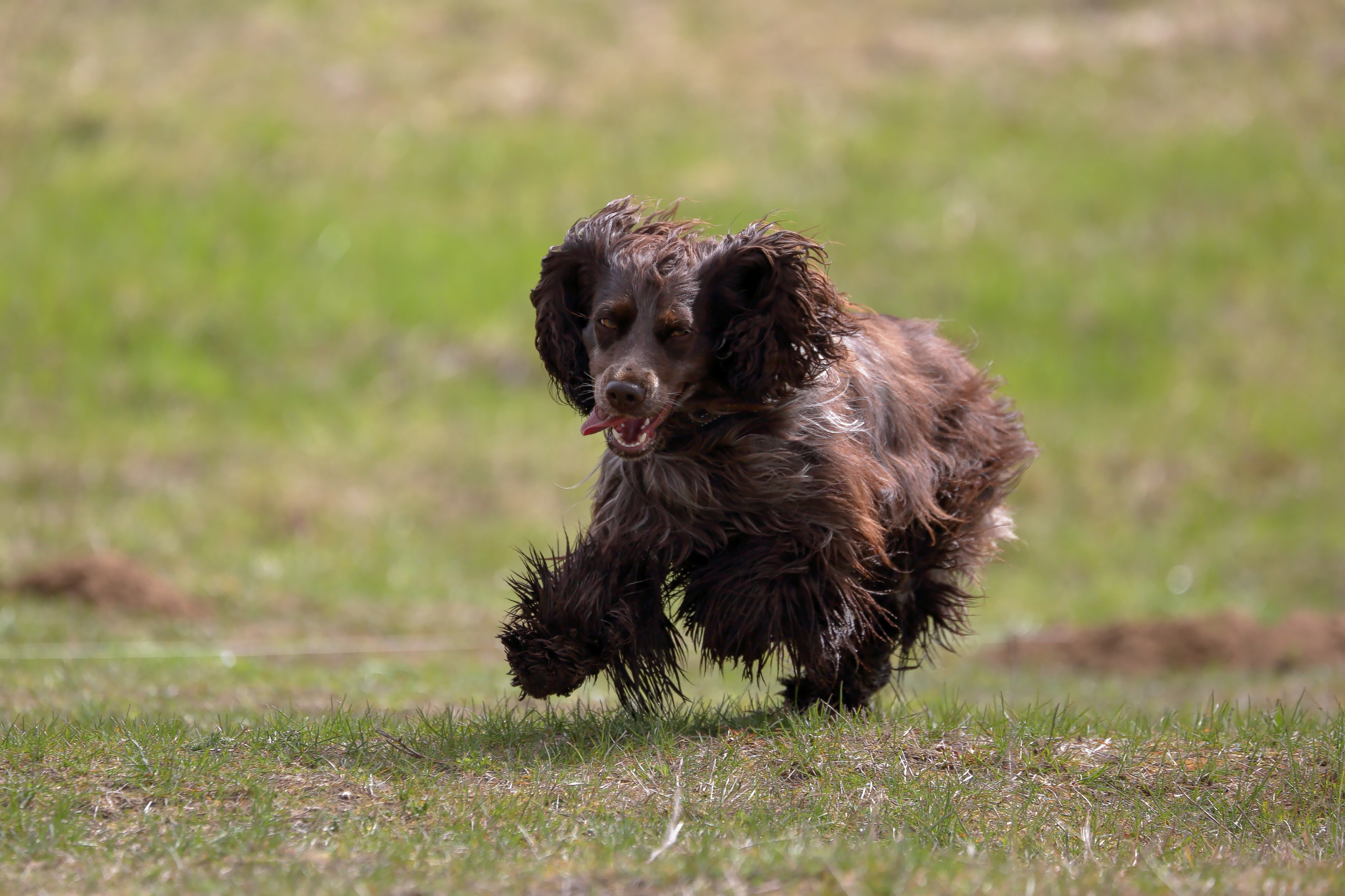 Lure Club май 2024. Irenephoto.ru