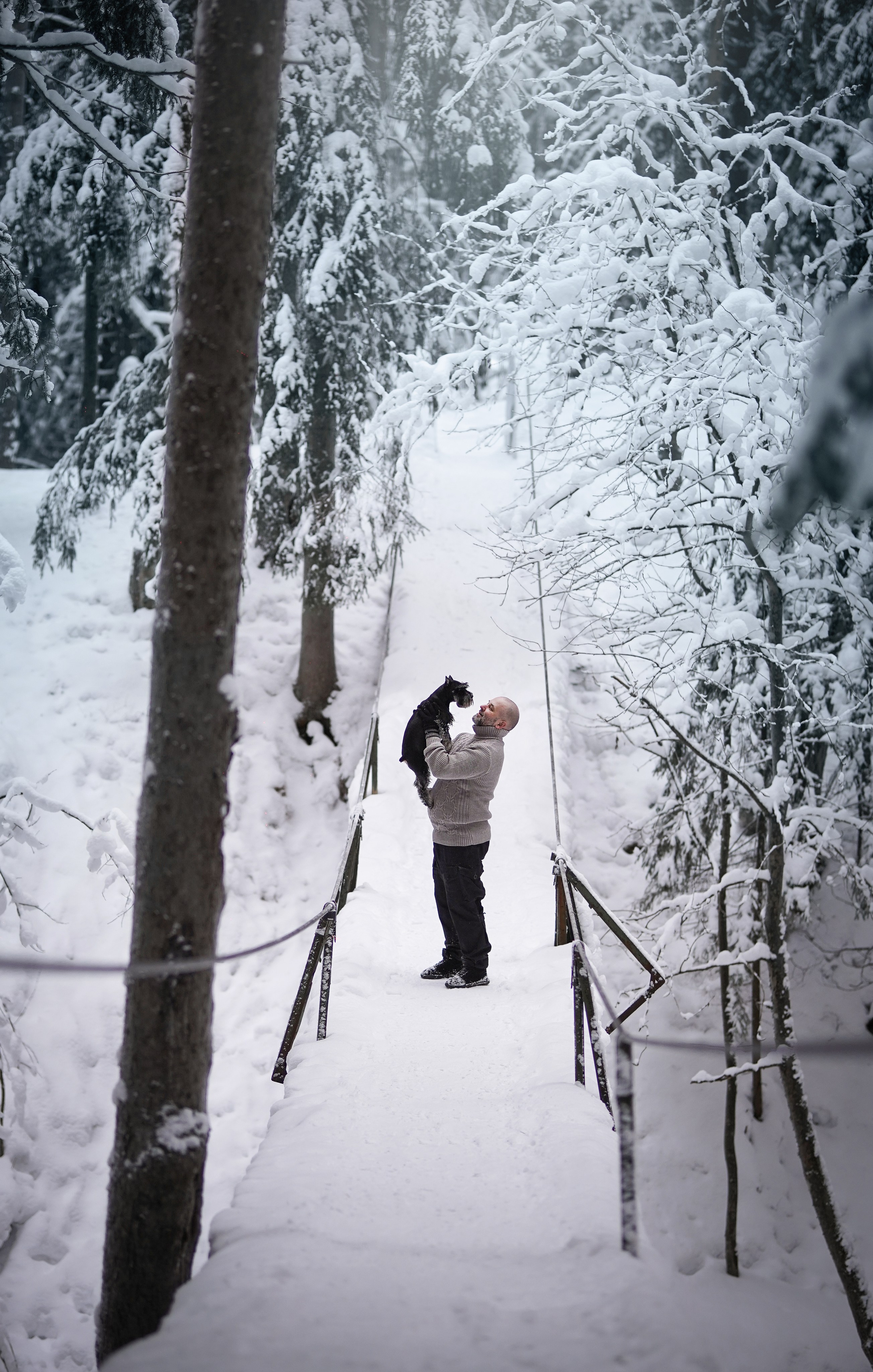 Оля Миша и шнауцеры. Фотограф-анималист в Санкт-Петербурге Яна Мартынова