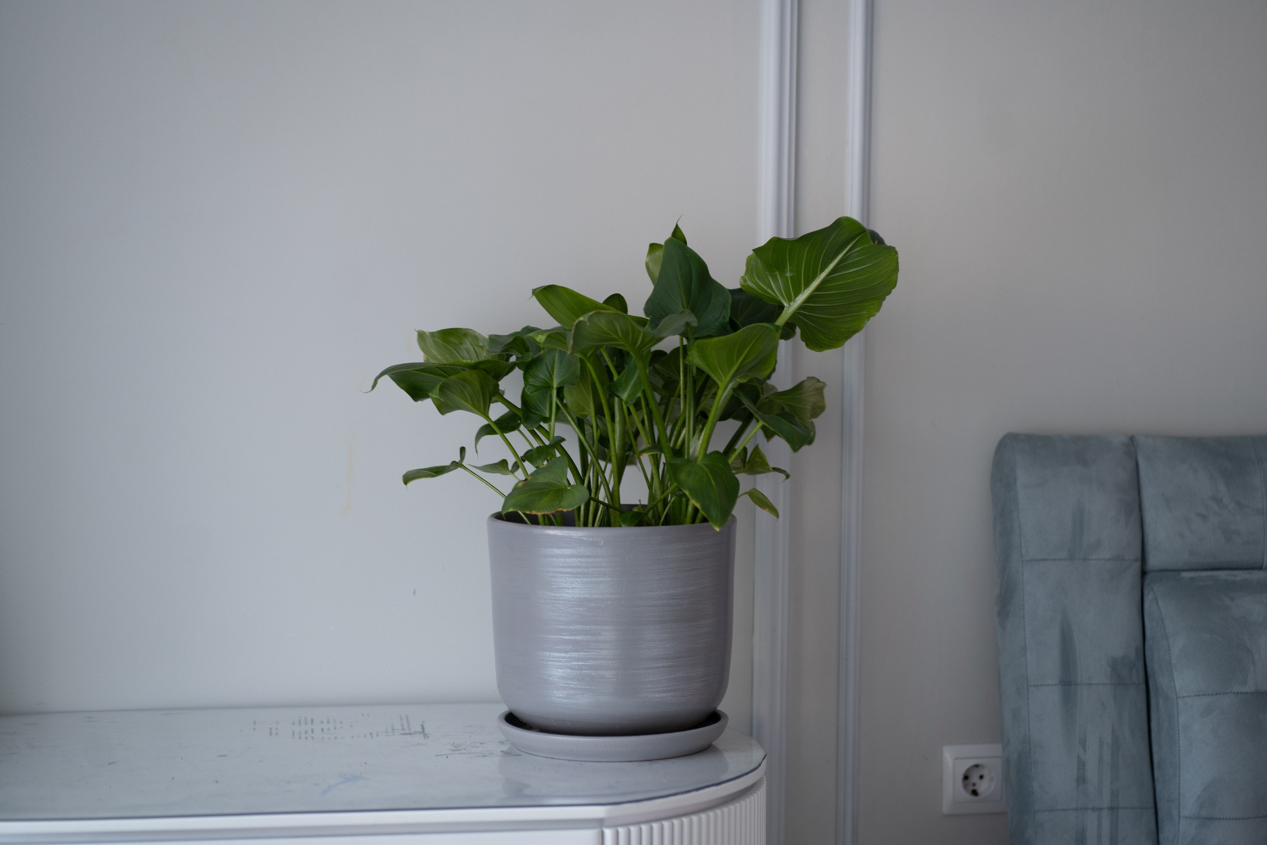 Съемка для патронажной службы. Фотограф и маркетолог Андрей Юрилин Саратов и Энгельс