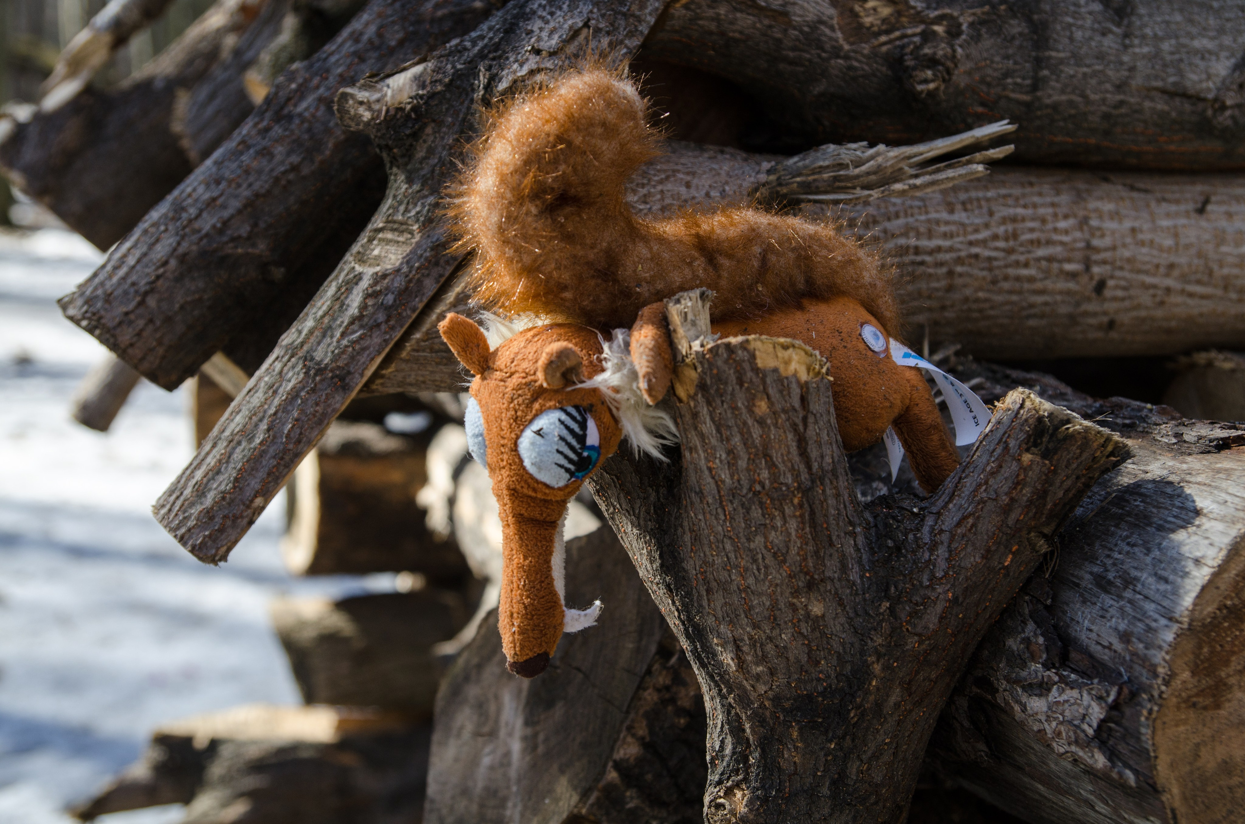 Интересное рядом. Фото, видео, монтаж