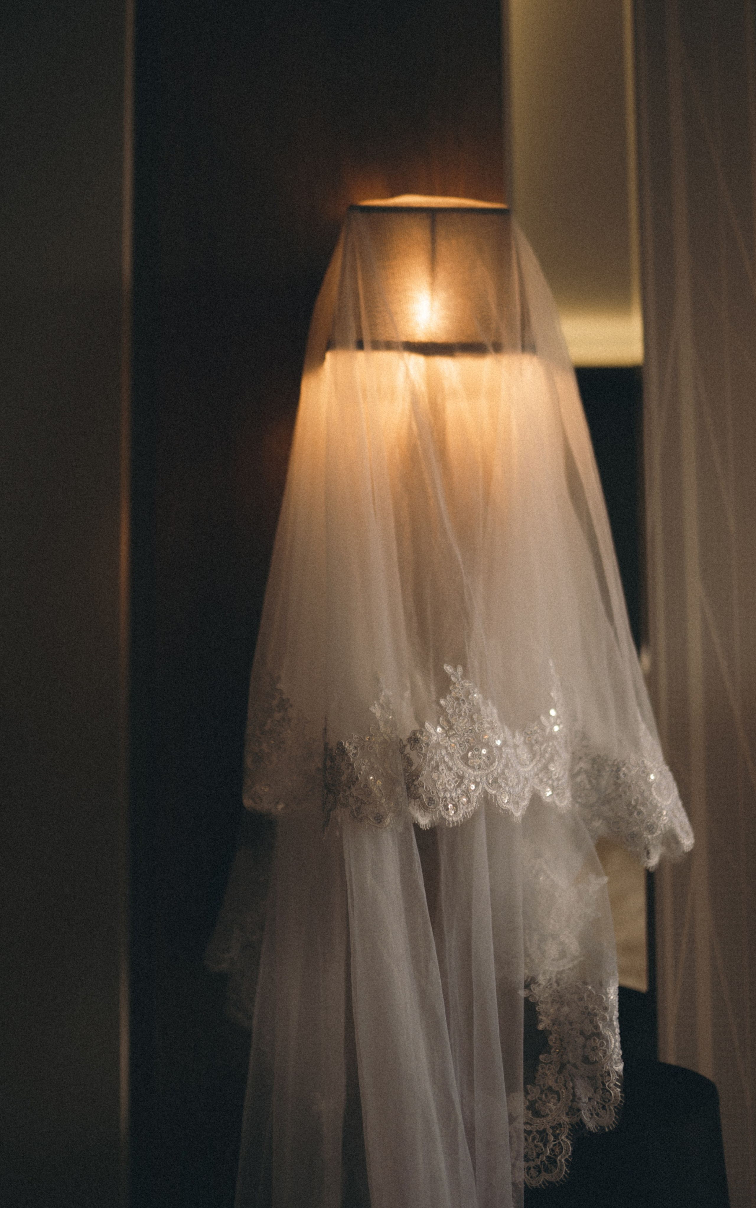 Розы и любовь. Творческий фотограф Аня Волк