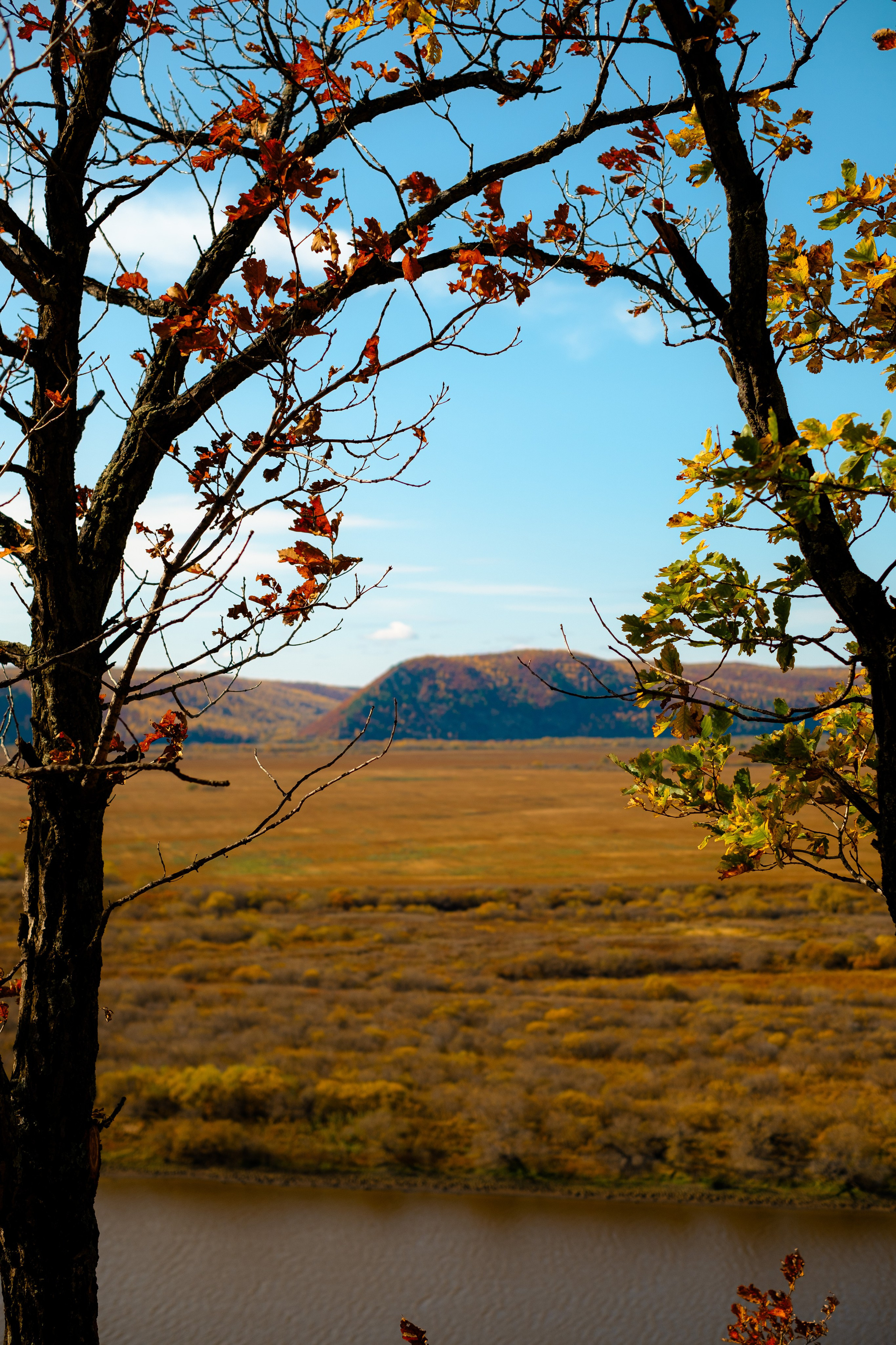 Михайловские столбы осенью. Фотограф Благовещенска Яна