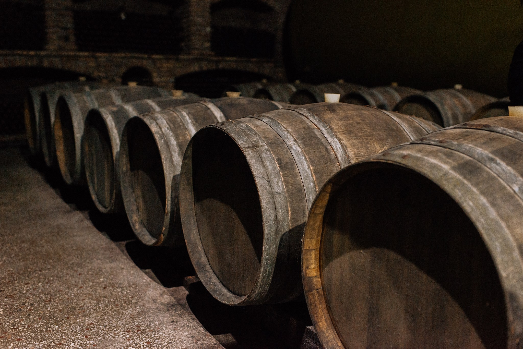 Винный завод «Корпорация Киндзмараули». Май 25. Репортажный фотограф в Санкт-Петербурге Анастасия Клёпова