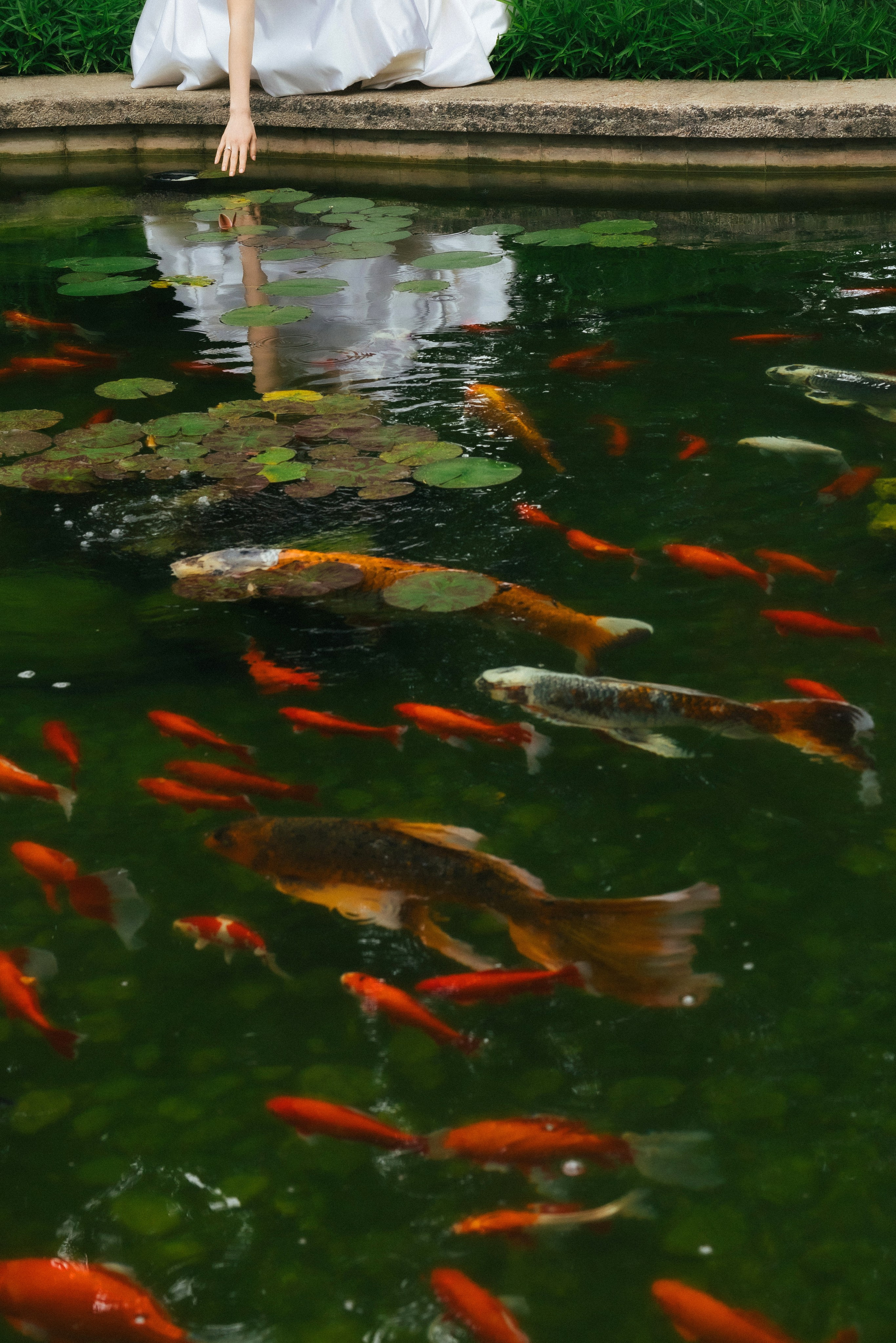 @fruits_family_wedding. Свадебный и репортажный фотограф в Москве Владимир Сергеев | Naysaikolo