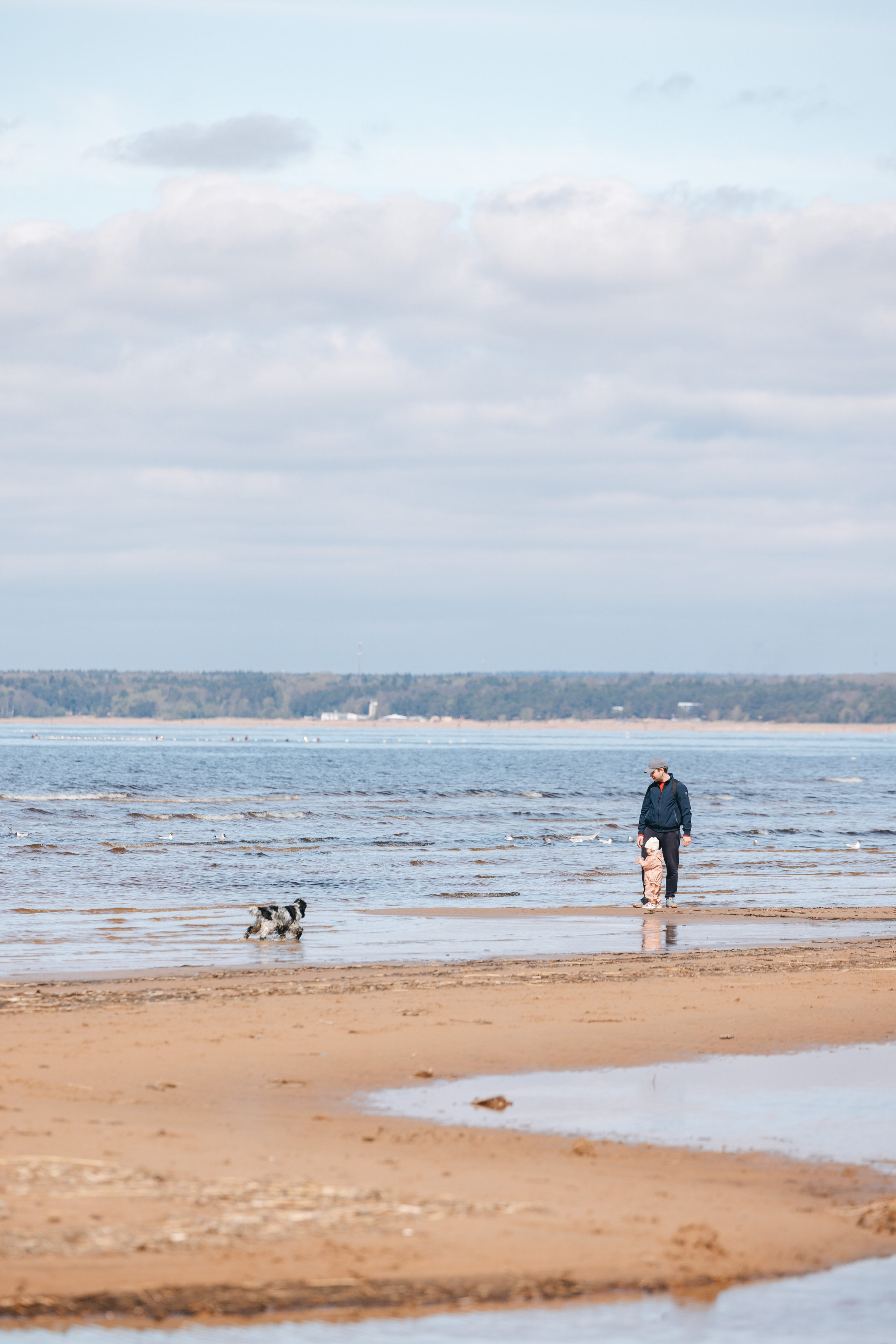 Спанимания. Фотограф анималист Осипчикова Мария