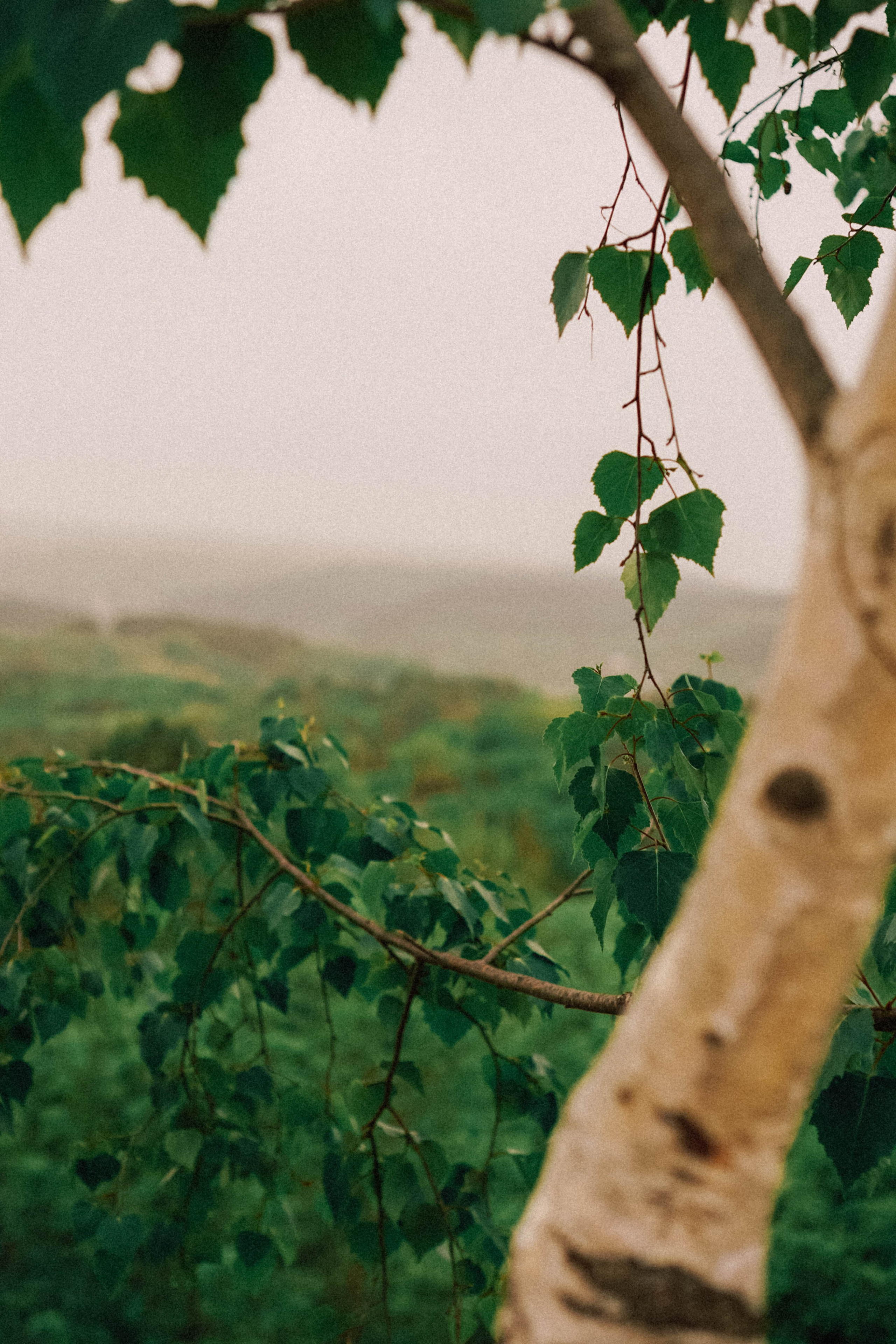 КИСЛОВОДСК. Профессиональный фотограф, Санкт-Петербург — Виктория Богомолова