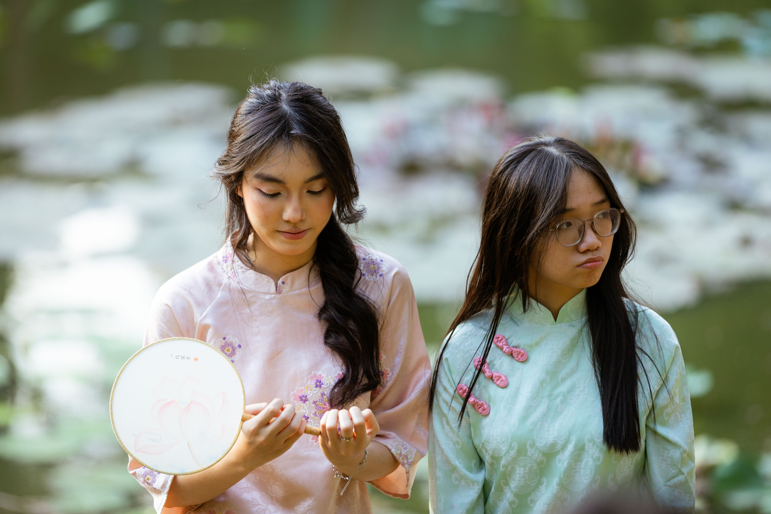 Вьетнам (зима 2025-2026). Фотограф Виноградов Константин