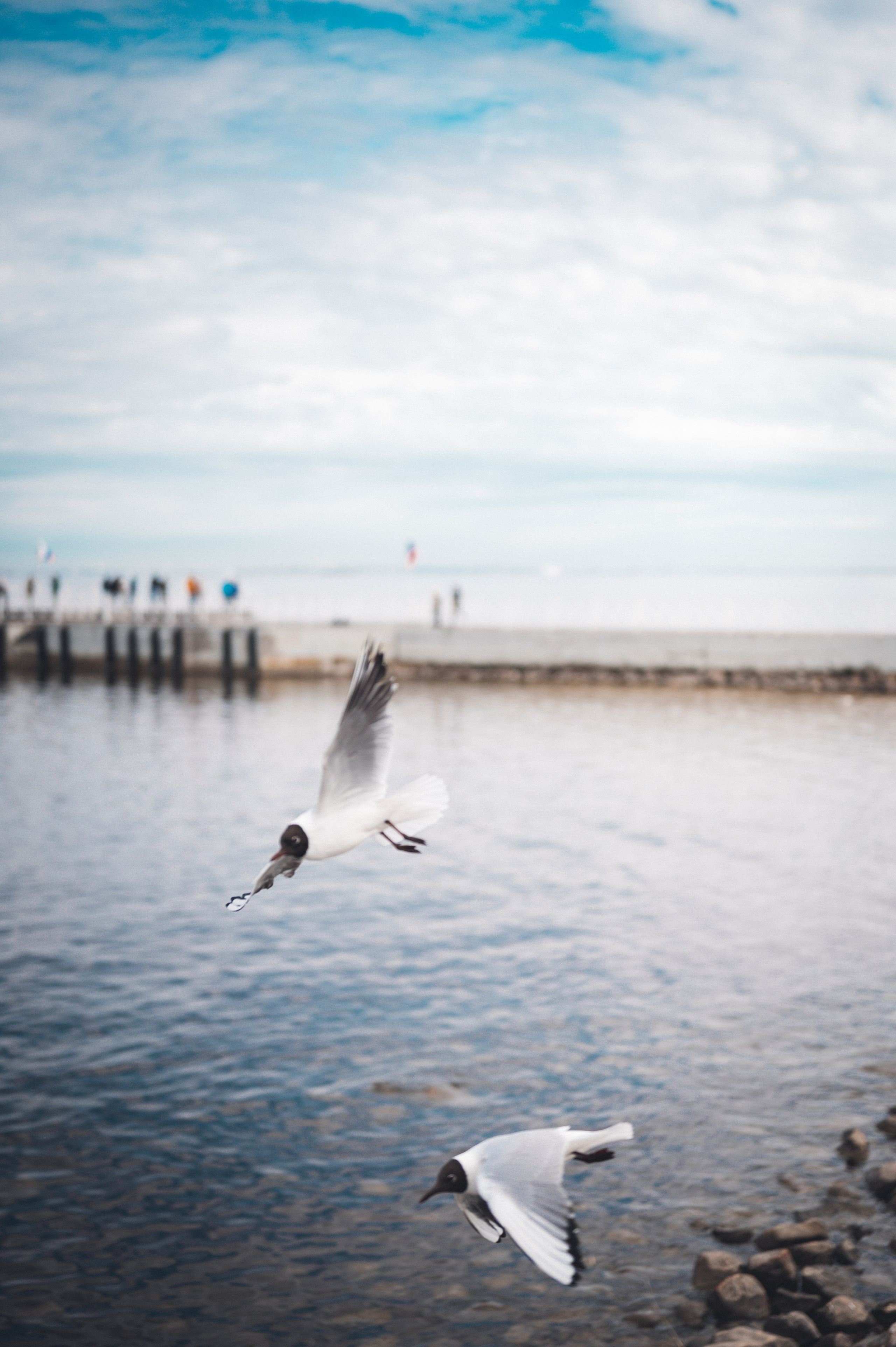 Мир вокруг. Фотограф Анна Темнова. Пенза