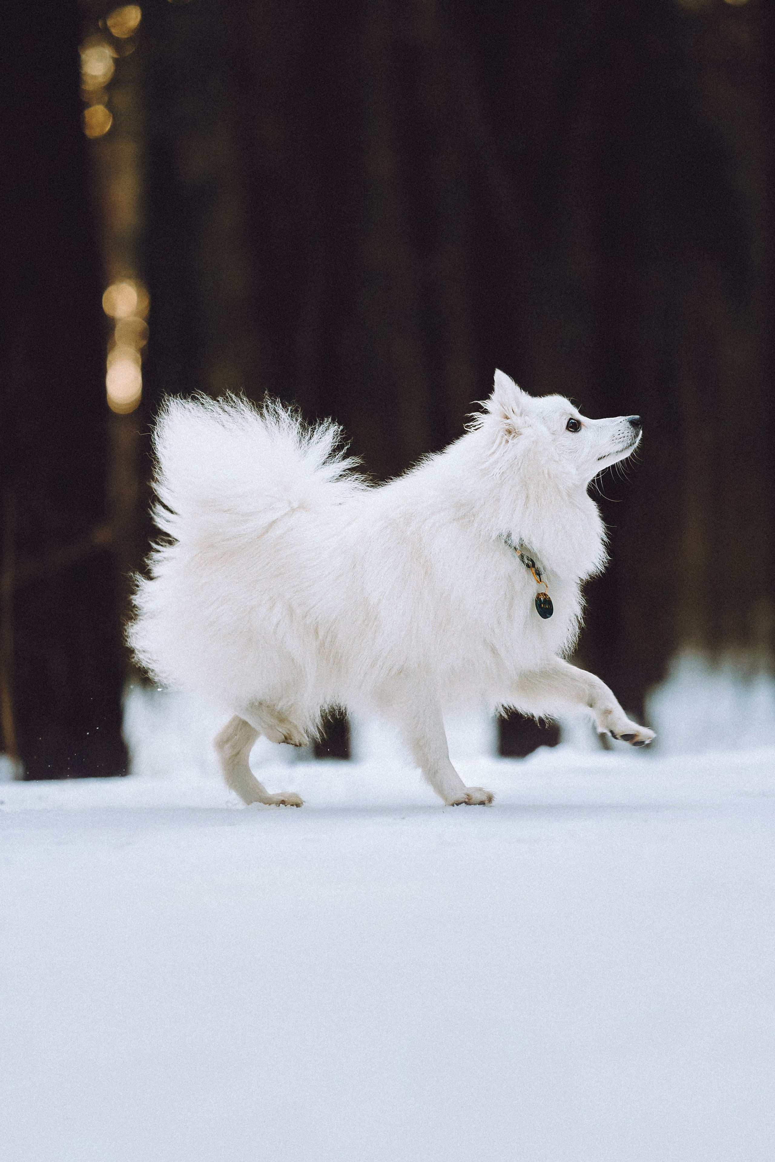 Шани и ее семья