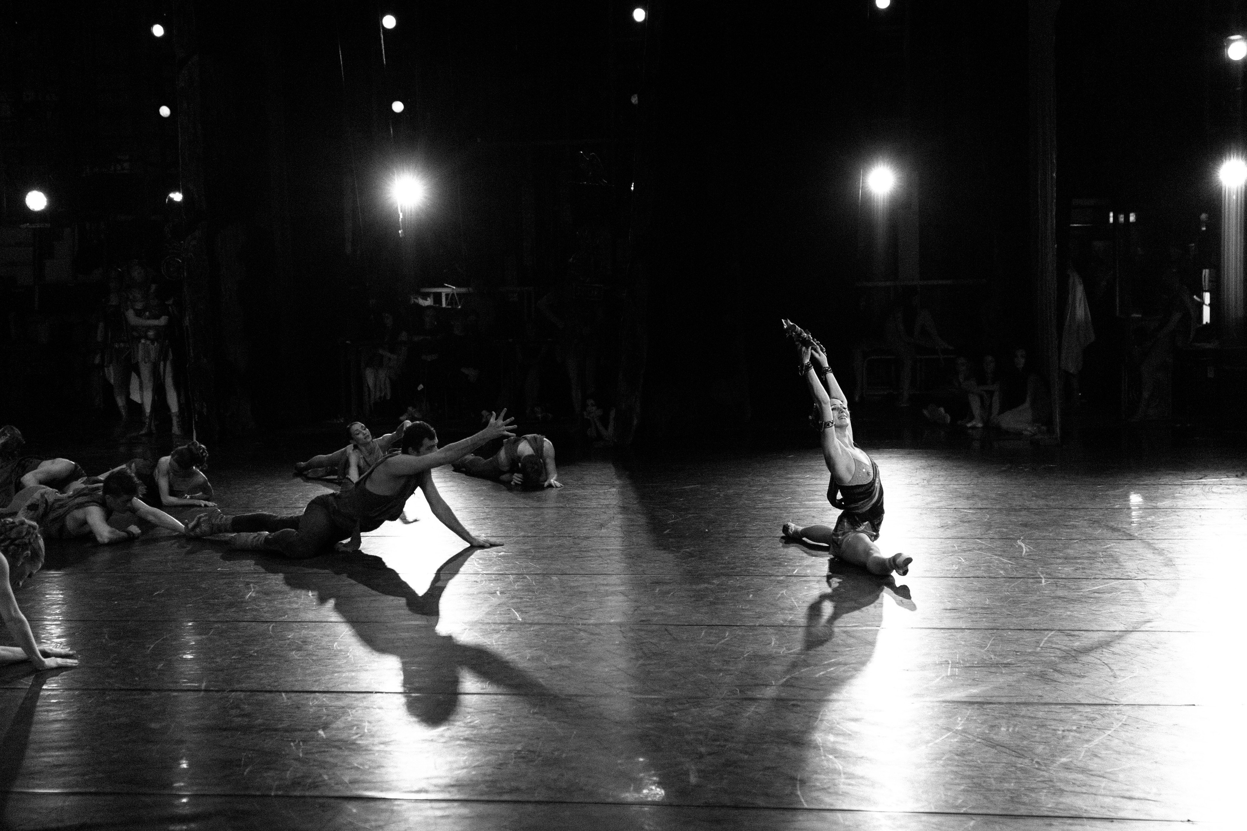 Спартак. Фотограф в Краснодаре Лагунов Владимир