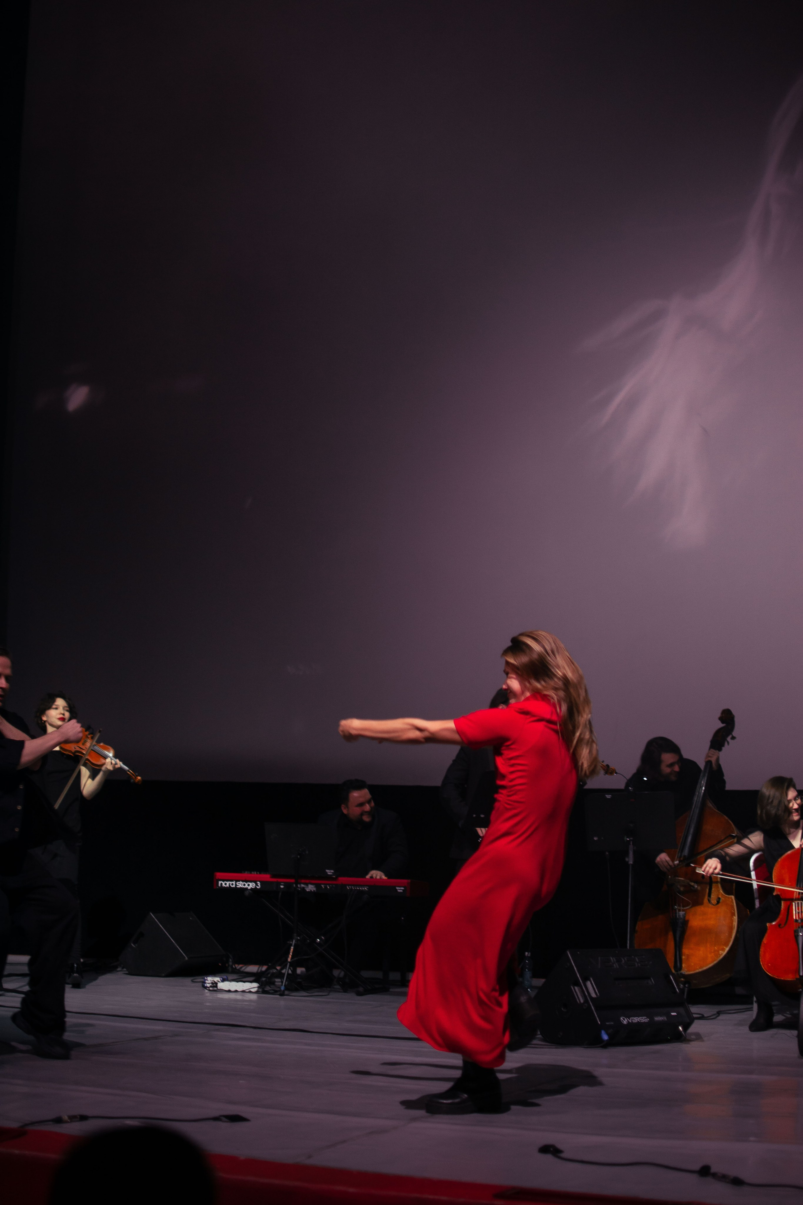 Концерт оркестра Cinematica. Репортажный фотограф в Новосибирске