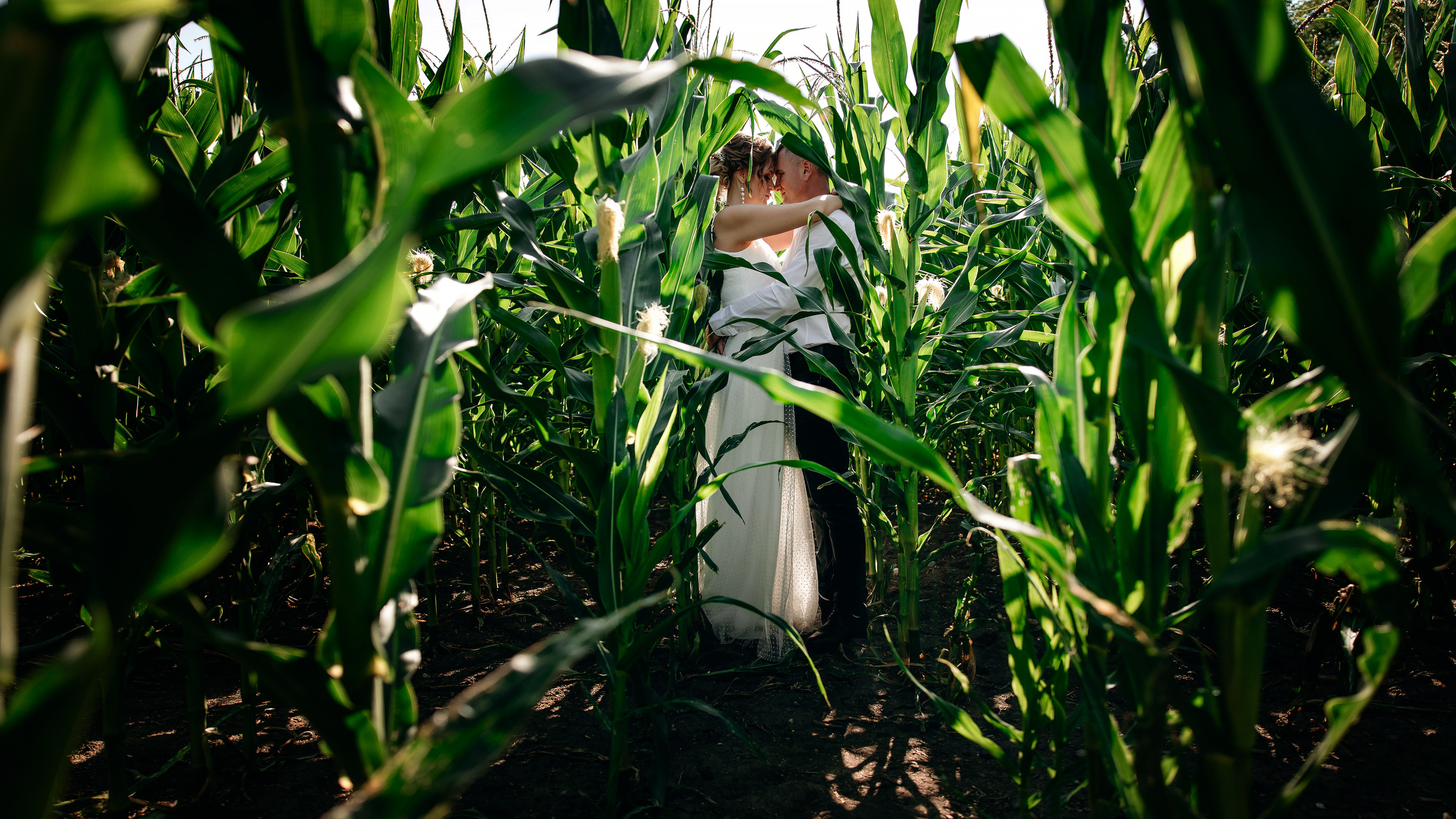 Стас & Ольга. Свадебный фотограф Краснодар Ставрополь Ростов на дону