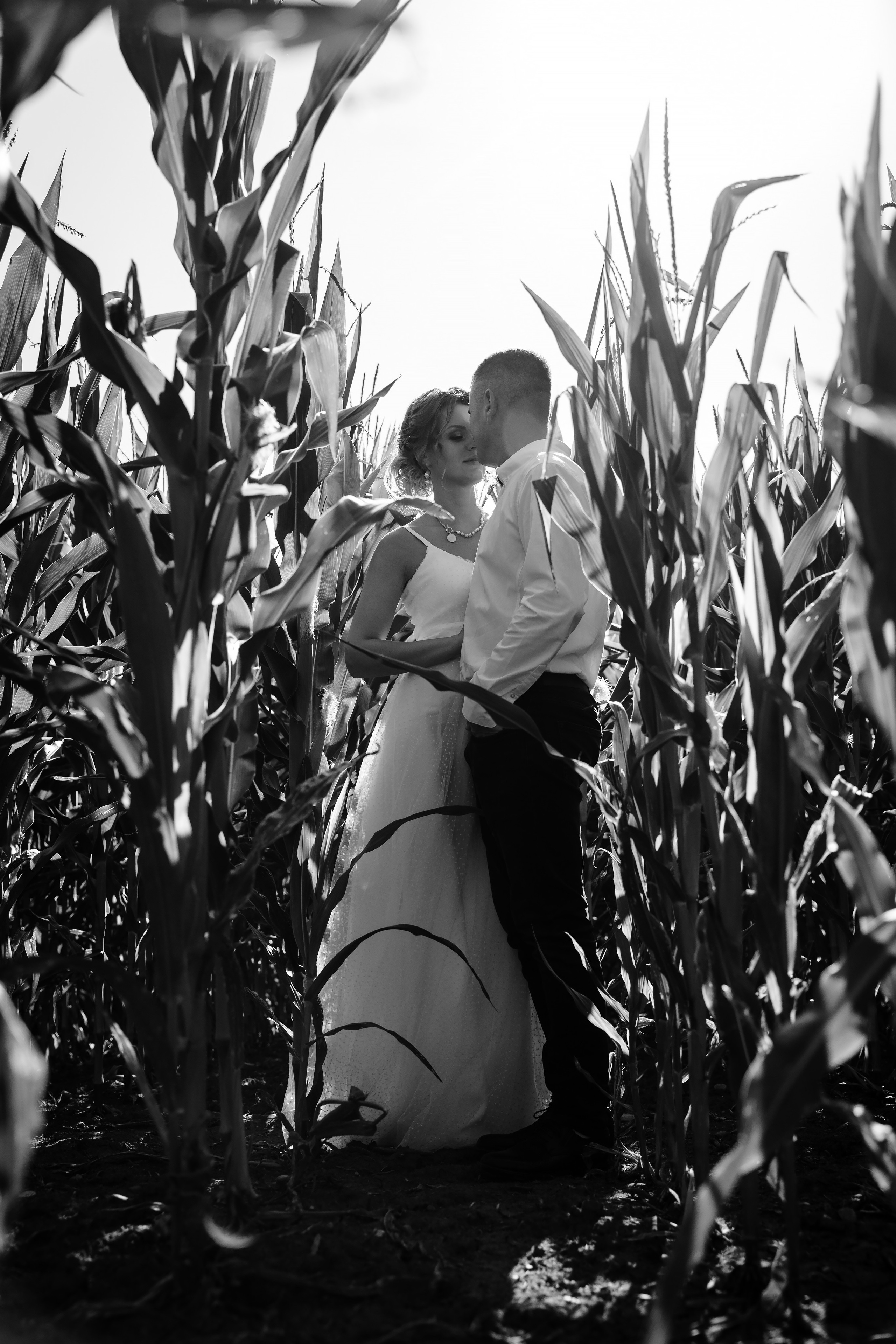 Стас & Ольга. Свадебный фотограф Краснодар Ставрополь Ростов на дону