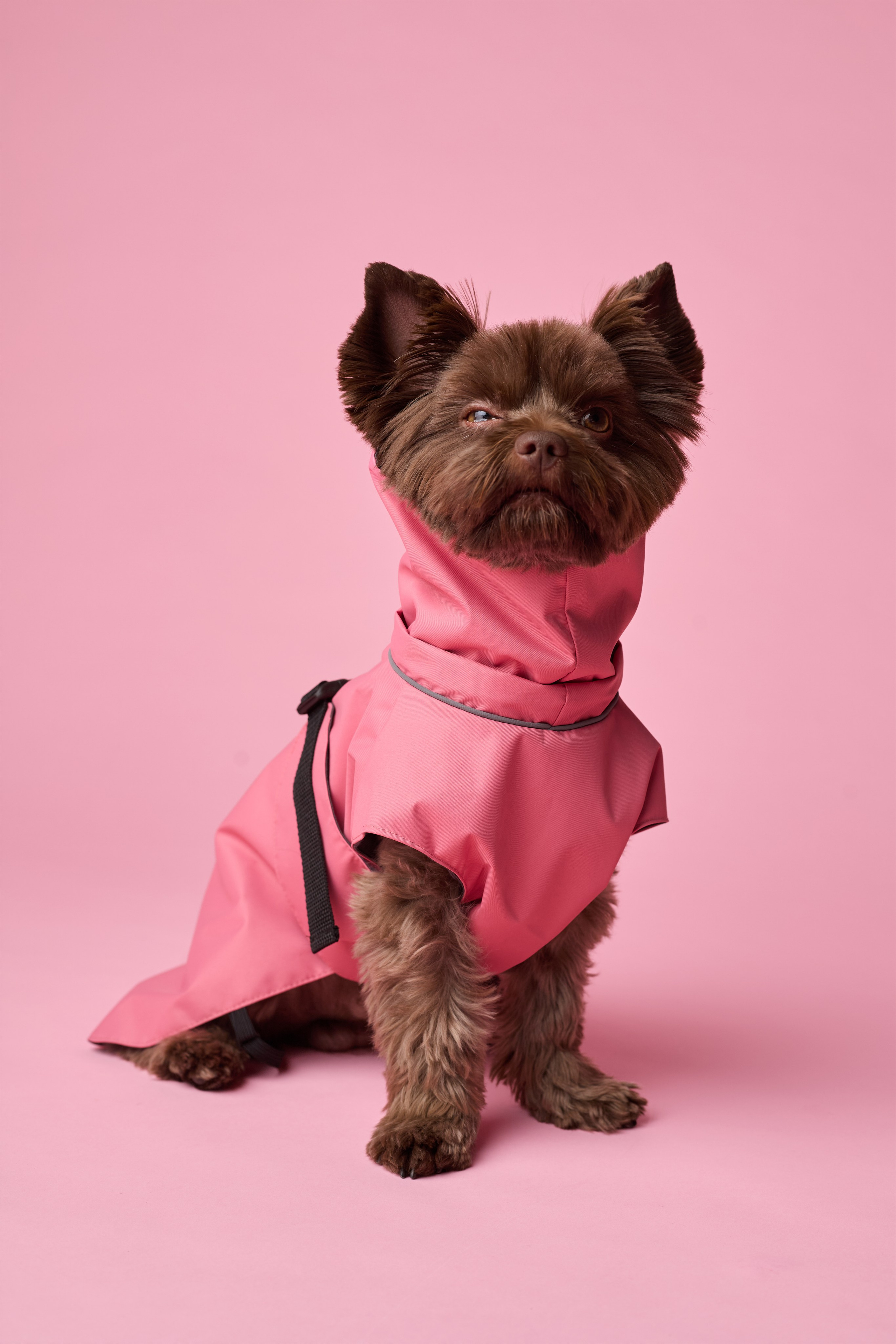 FOSY. Фотограф|Москва-СПб| Анастасия Рябинина