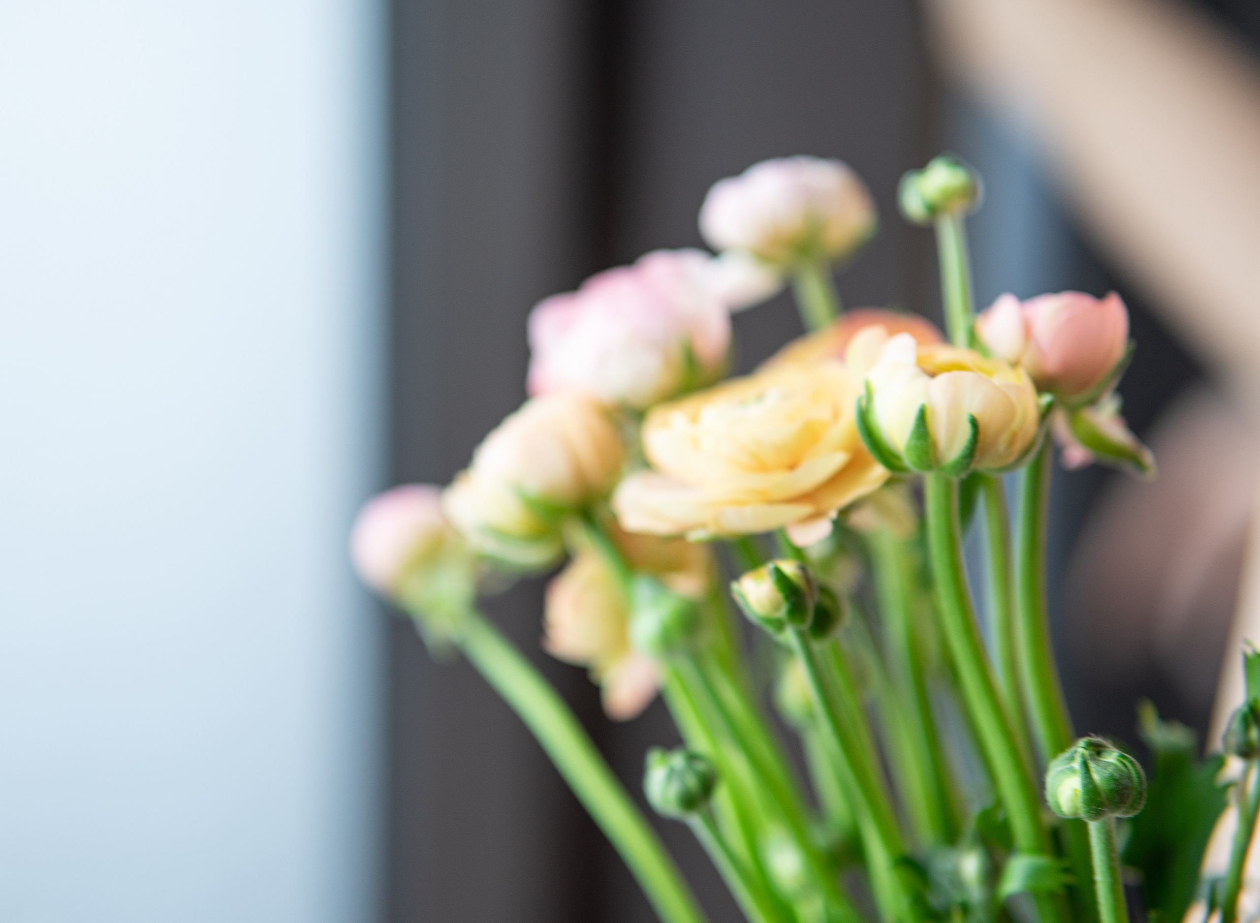 И в горе и в радости. Фотограф Софья Горбунова