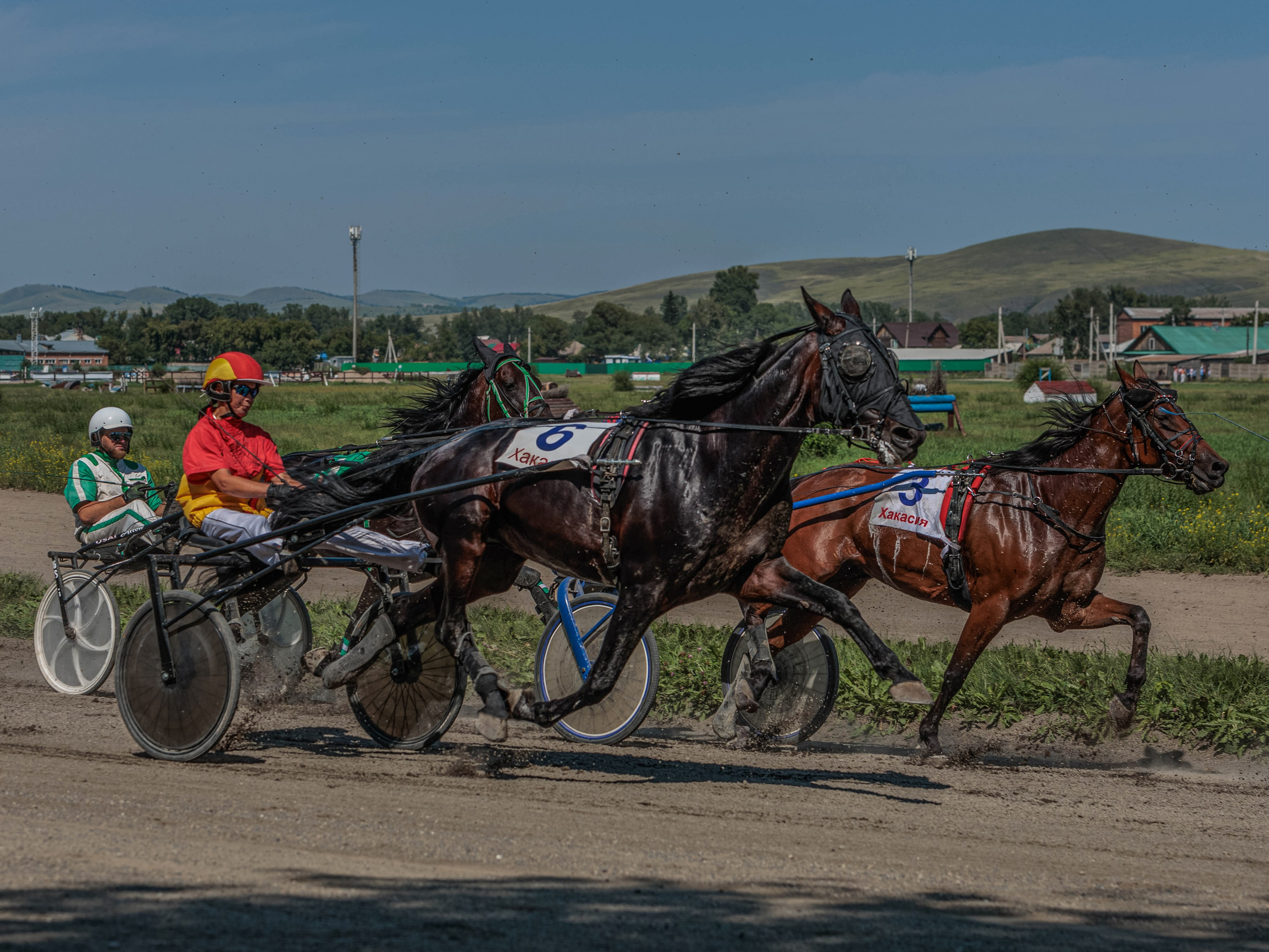 Зарисовки Абаканский ипподром 2025. Конный фотограф в Красноярске — Любовь Похабова