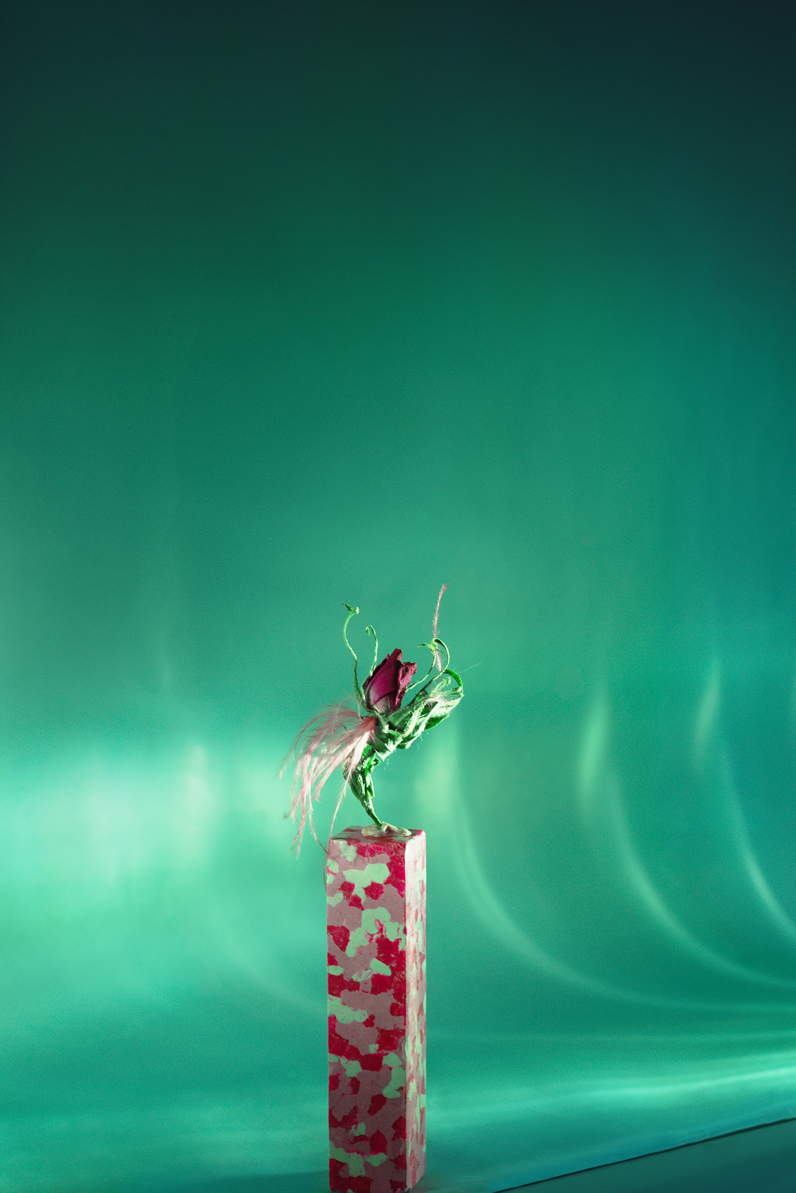 Фотограф Марина Гранкина