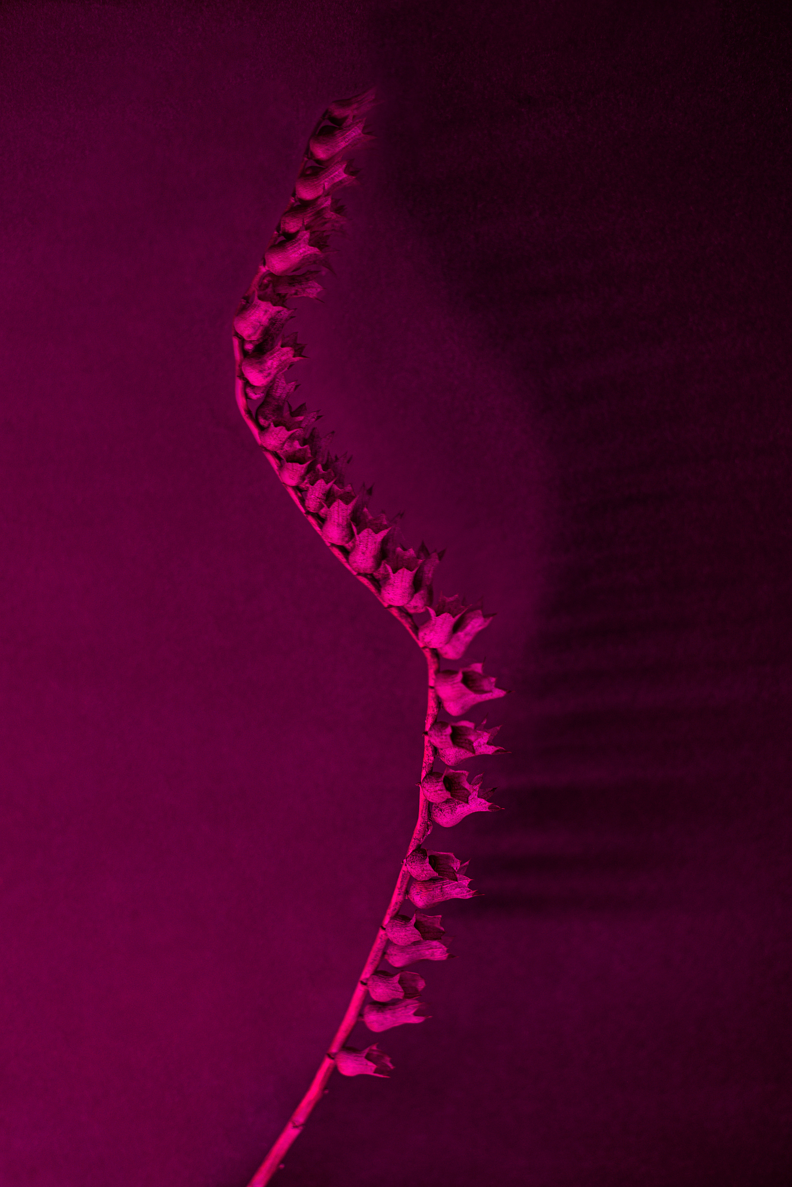 Фотограф Марина Гранкина