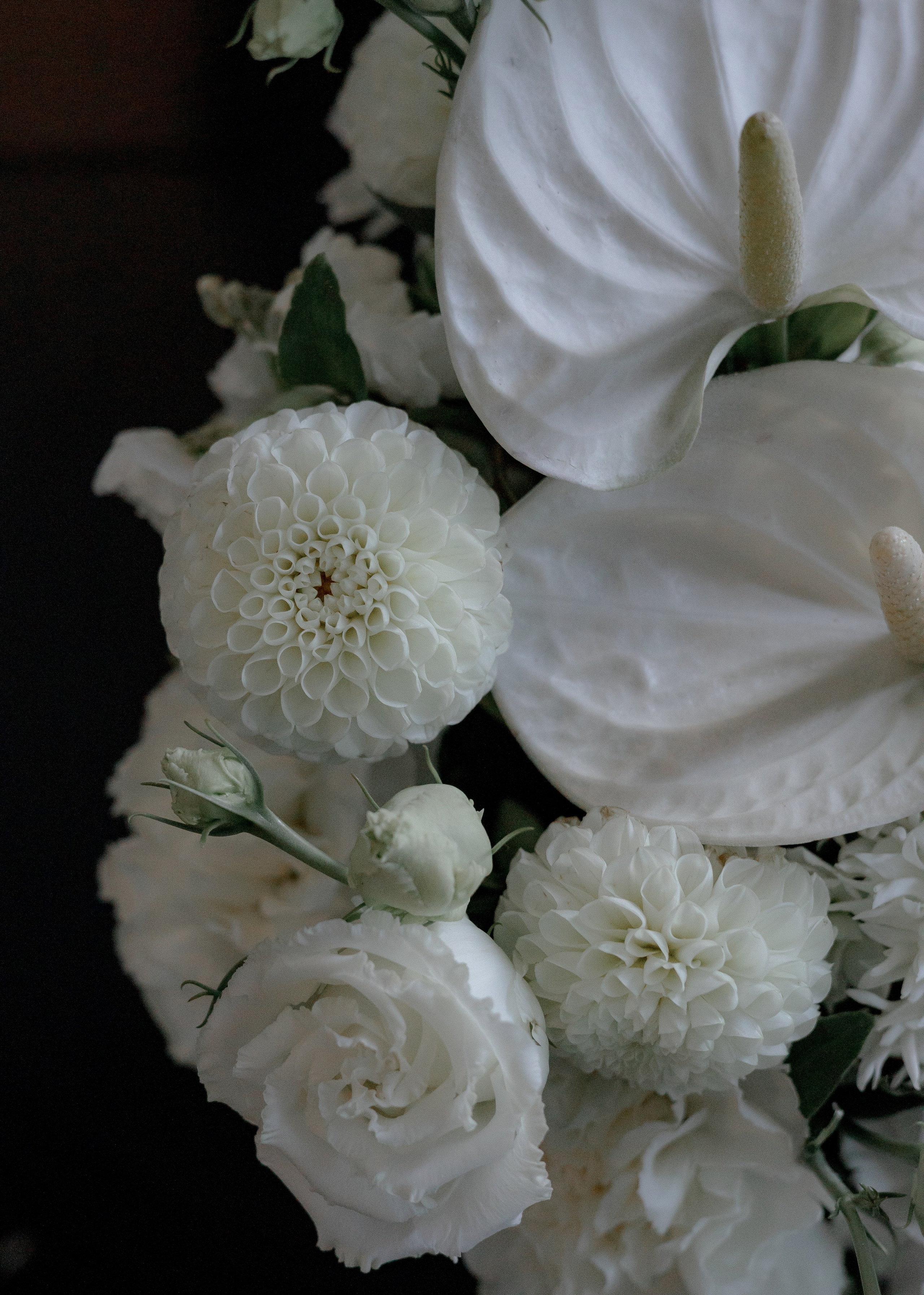 Университетская А^2