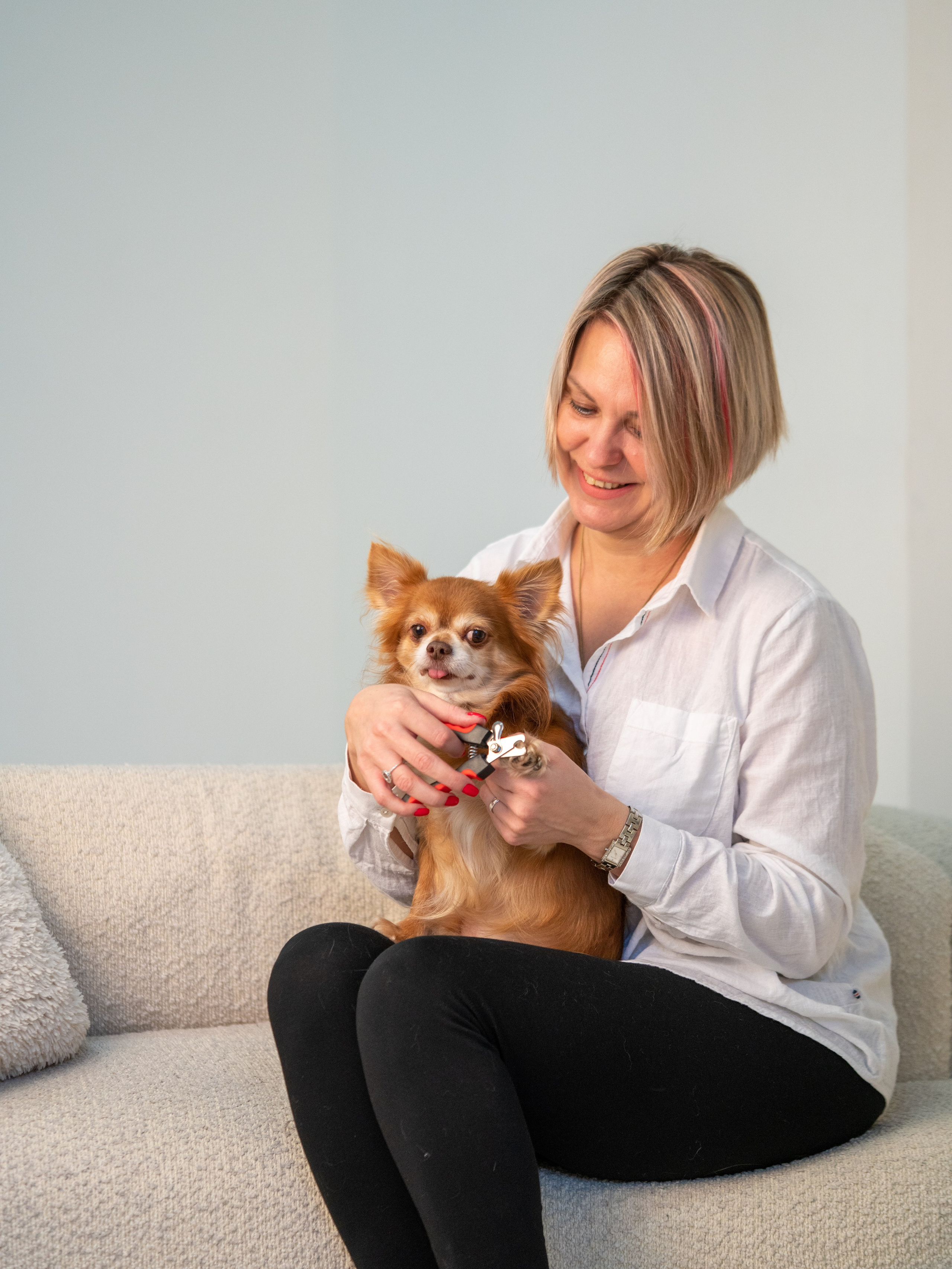 Съемки с животными. КЕД Студия-контент агентство полного цикла СПБ. Создаём фото, видео и контент, который помогает брендам и селлерам продавать больше