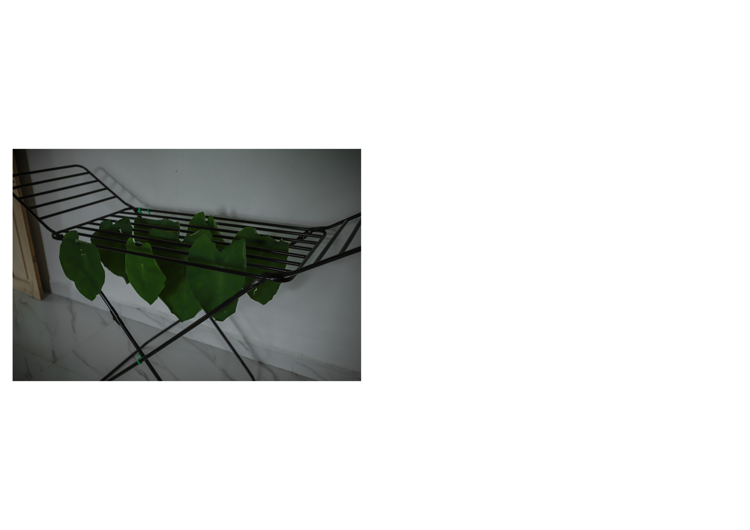 Nature me. Сайт Фотографа MASHASOLAR