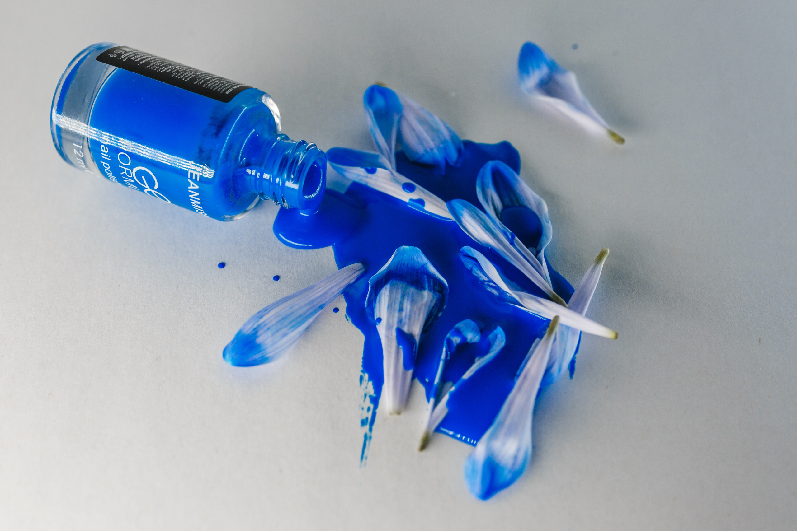 Контент для наставника мастеров маникюра. Семейный и свадебный фотограф Брянск, Москва Ольга Ли