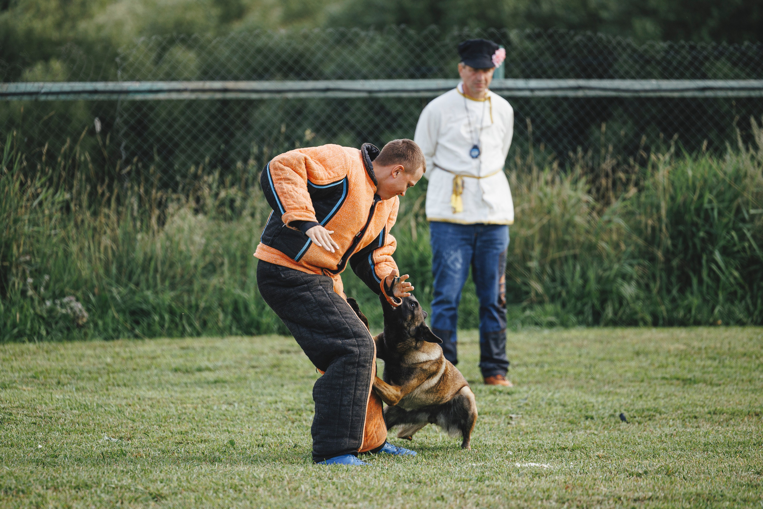 08.08.25-10.08.25 ЧР по мондьорингу г. Вологда. Фотограф-анималист Анна Маринич