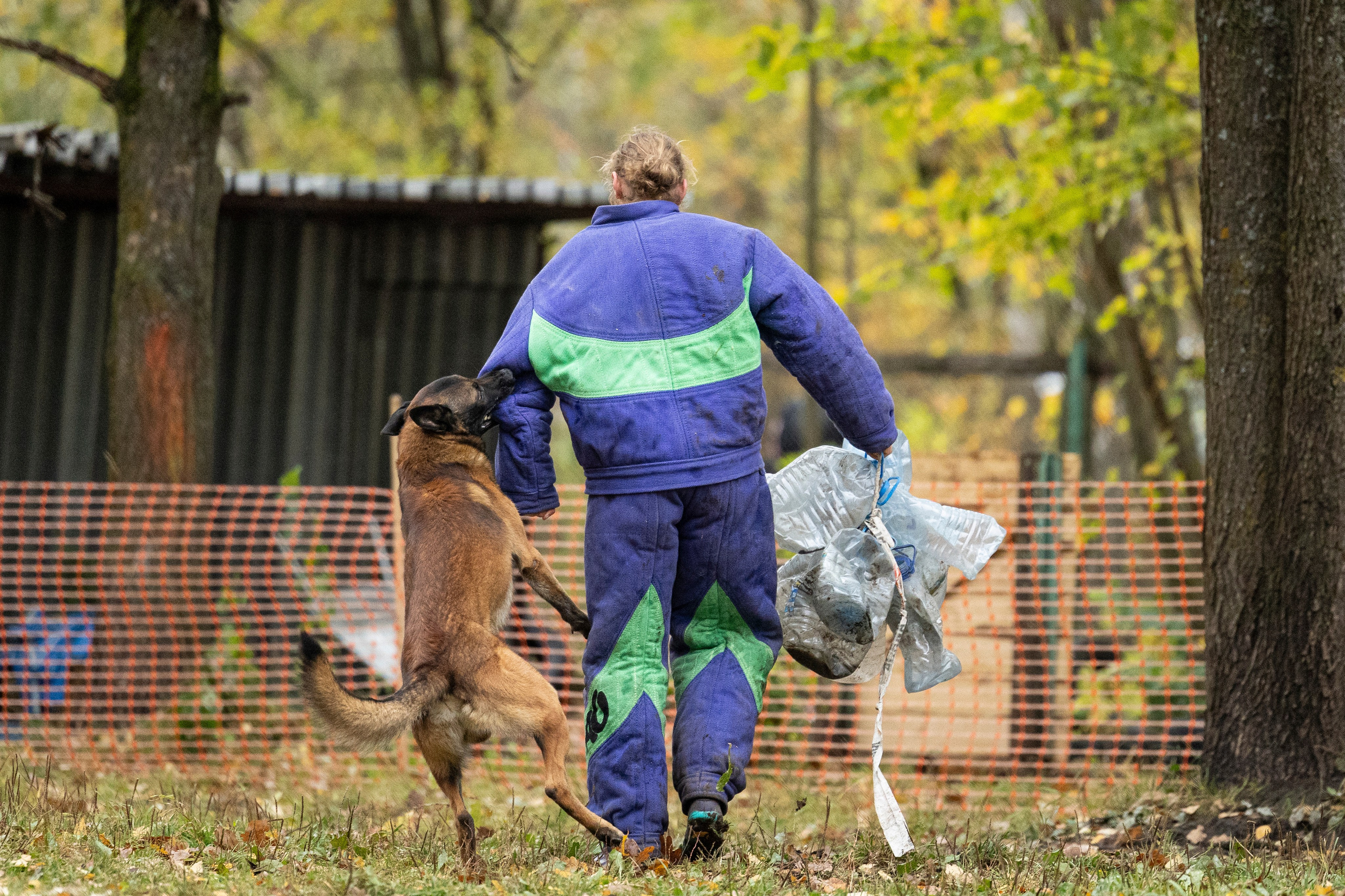 Соревнования по Мондьорингу г. Вологда. Фотограф-анималист Анна Маринич
