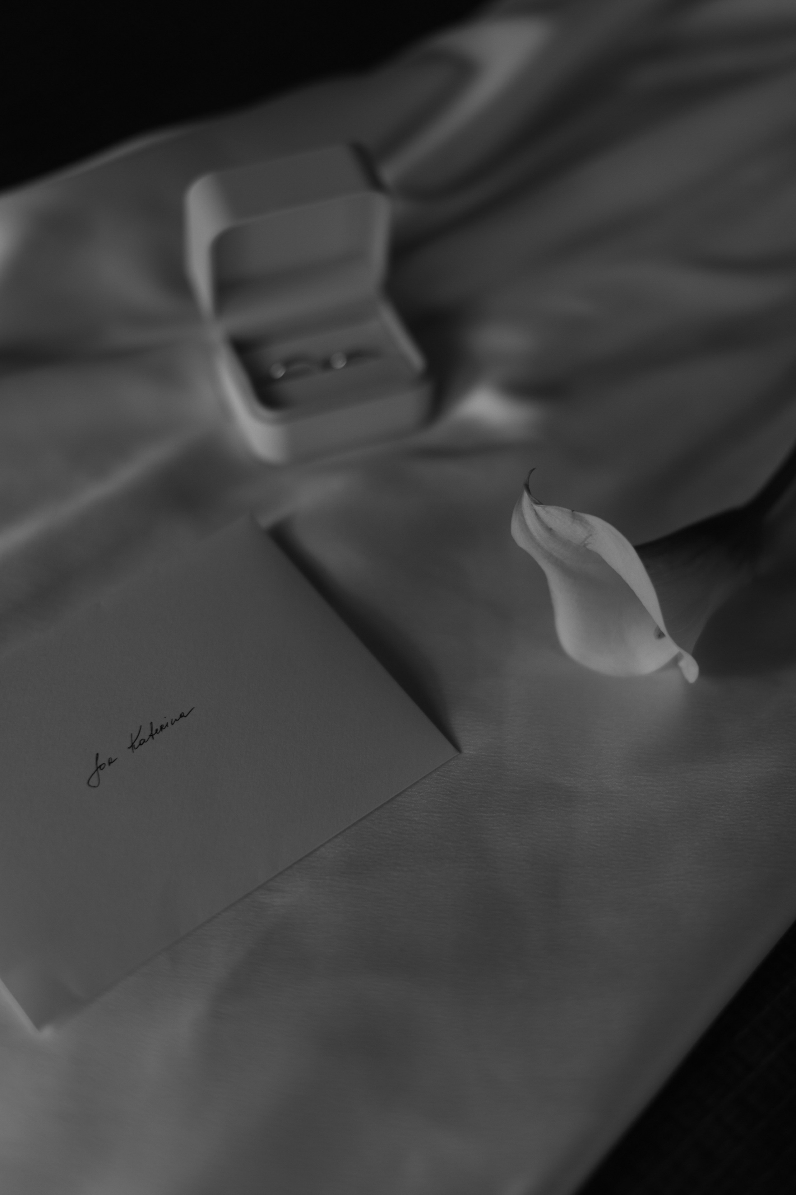 Сергей и Екатерина. Свадебные фотограф и видеограф в Минске Голдосовы Марина и Вадим