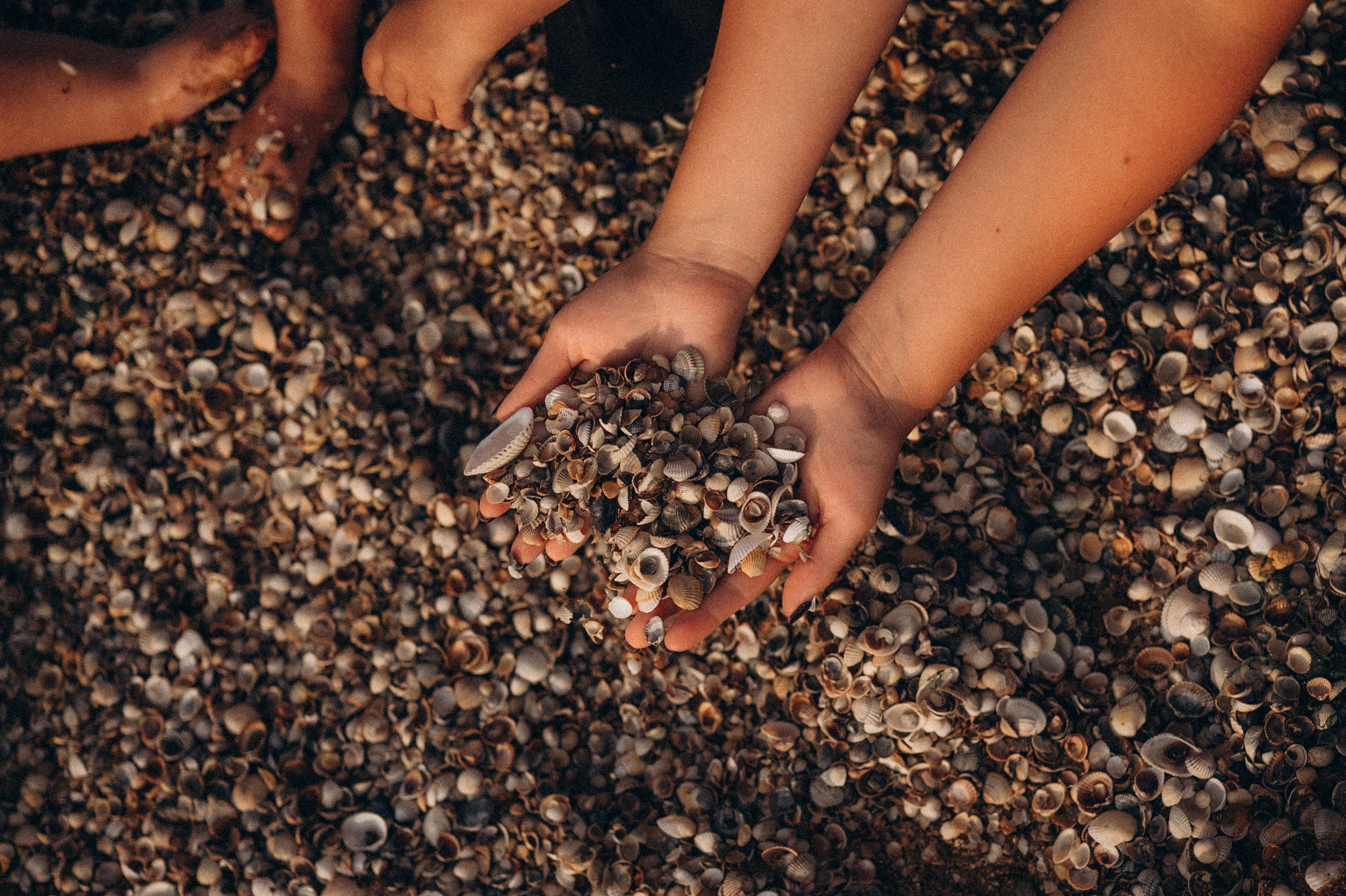 Максим, Елена, Матвей и Тимофей. Фотограф Горбенко Анна