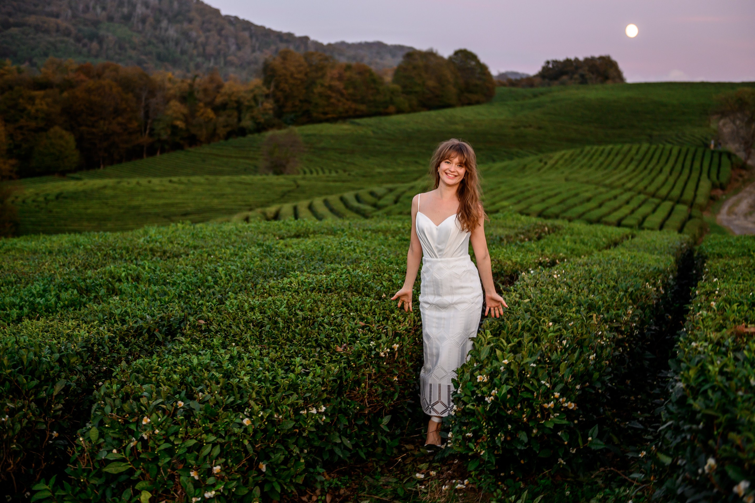 Чайные плантации. Олег и Светлана. Свадебный и семейный фотограф София Невская