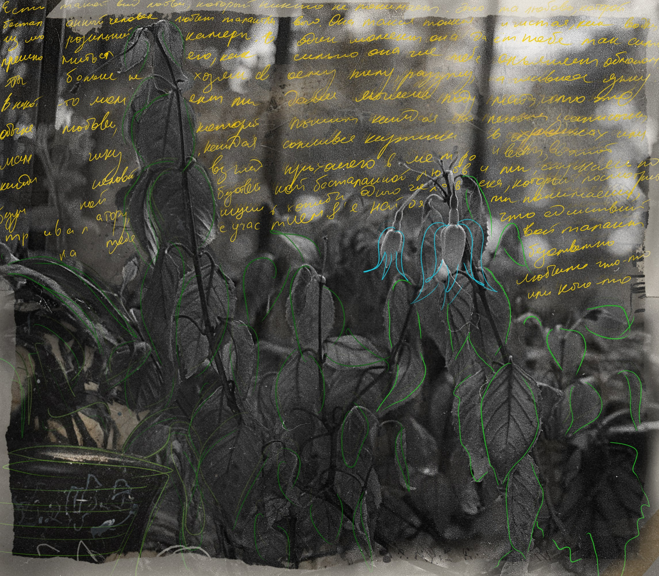 Словами дорога вдаль. Фотограф Cyberkyrie