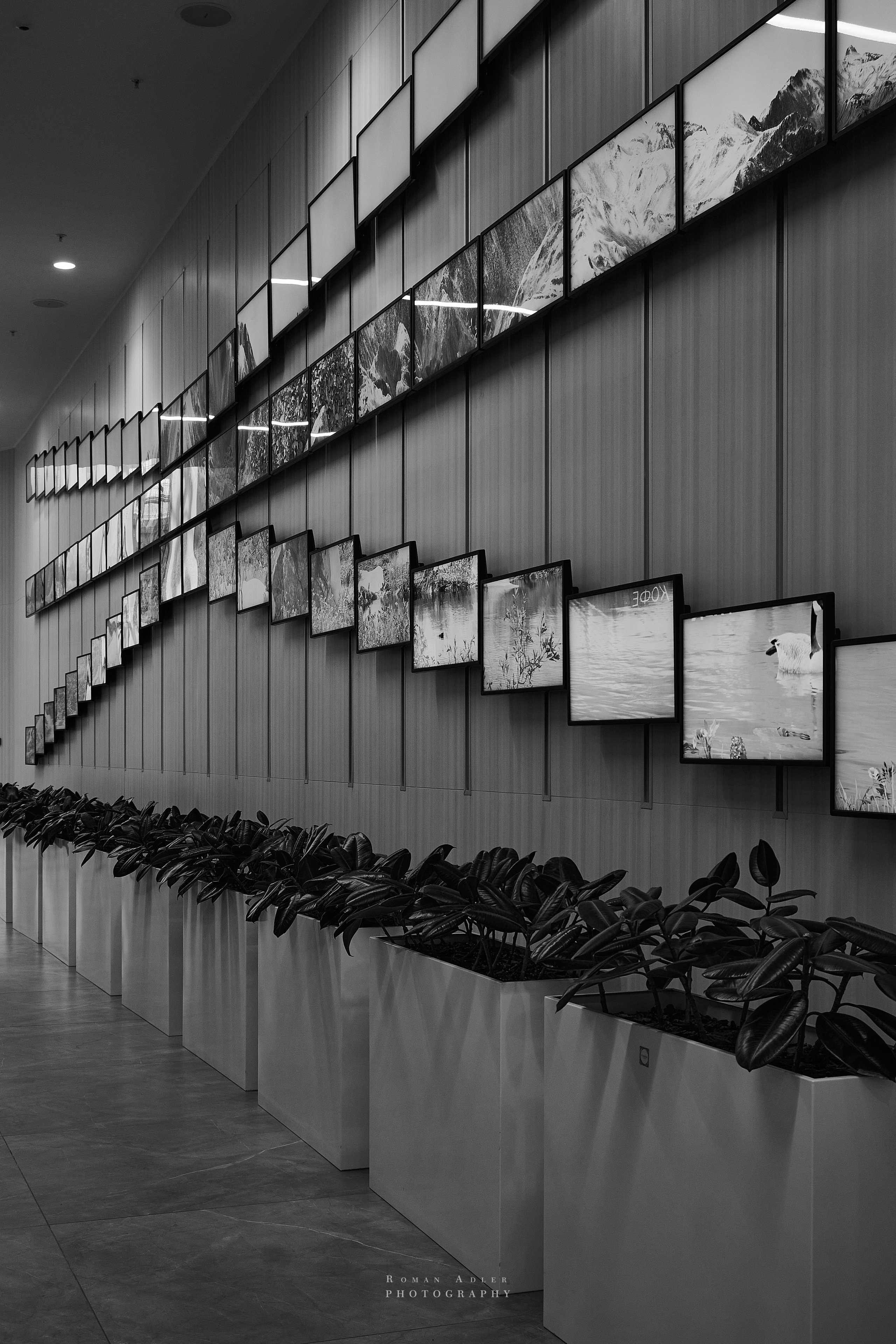 Московский стритджимм! Апрель 2024. Фотограф Роман Адлер