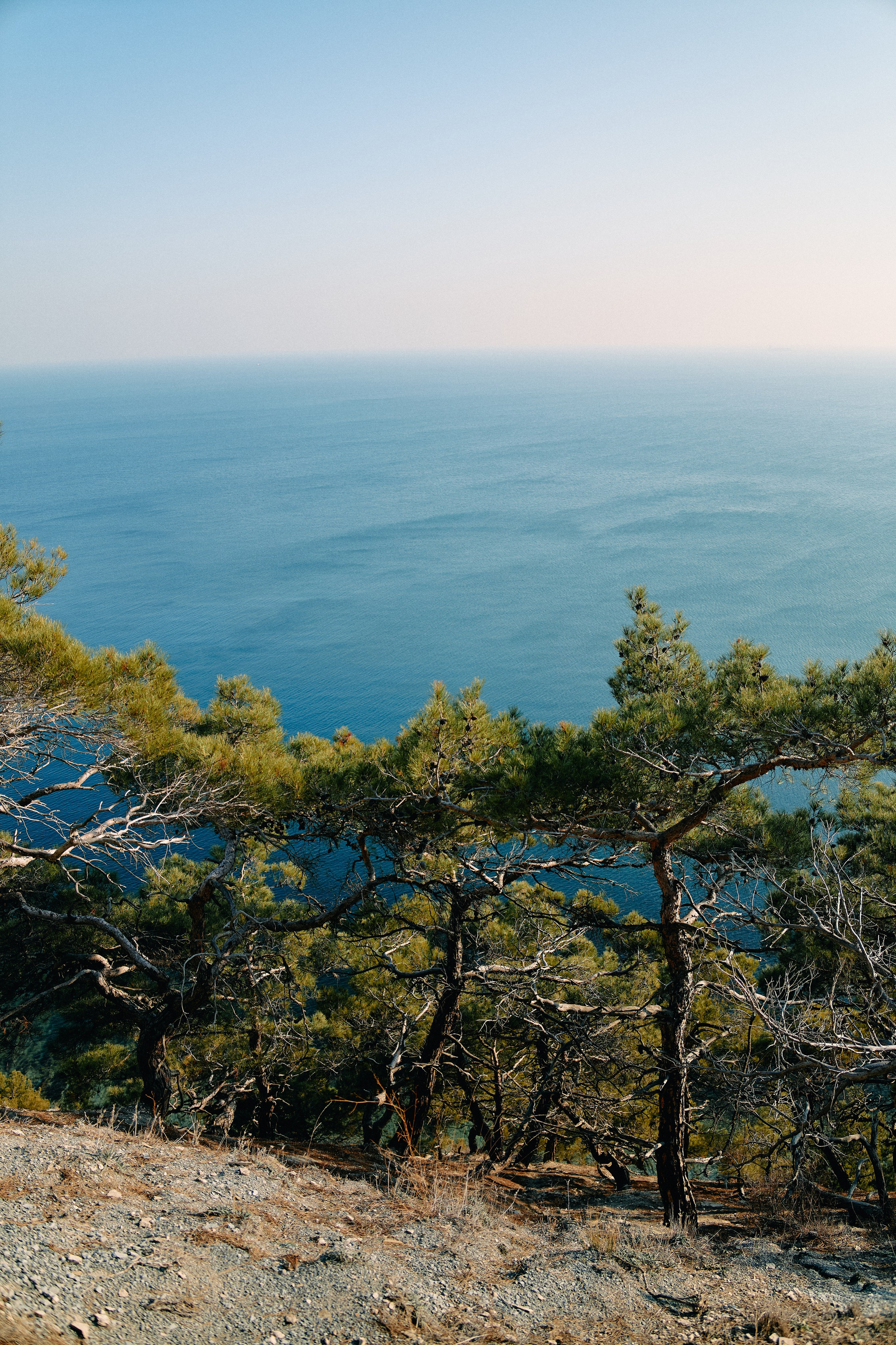 Юг России. Профессиональный Фотограф во Владимире, в Москве и в Суздале — Полина Романычева
