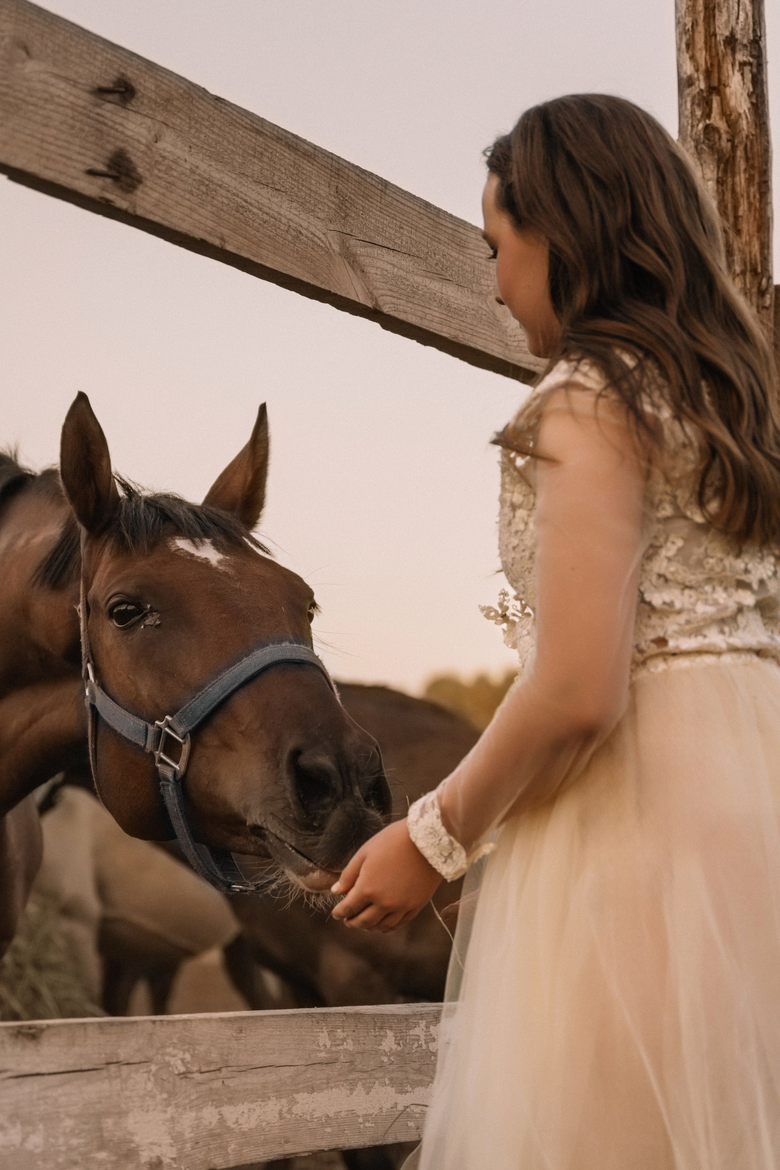 Евгения. Фотосессия с лошадьми. Семейный фотограф в Белгороде Амелина Алина