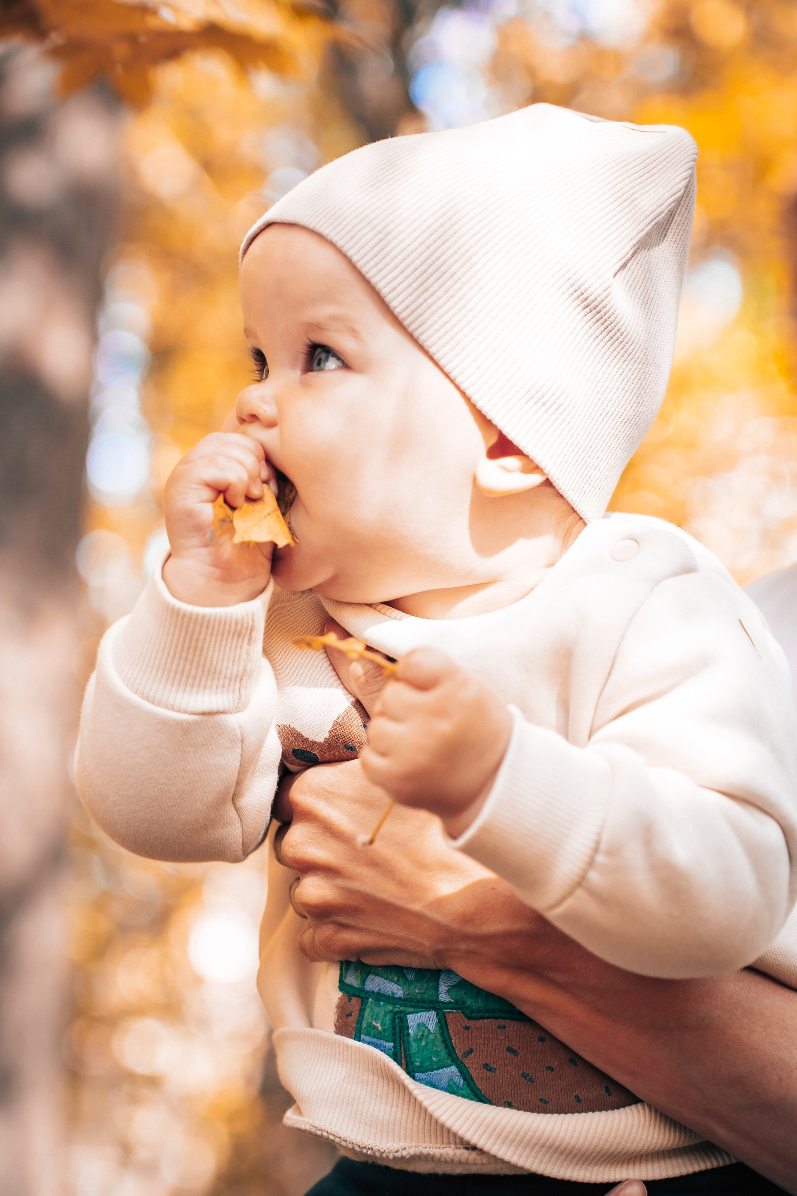 Осенняя прогулка. Фотограф Маргарита Слободянина в Хабаровске