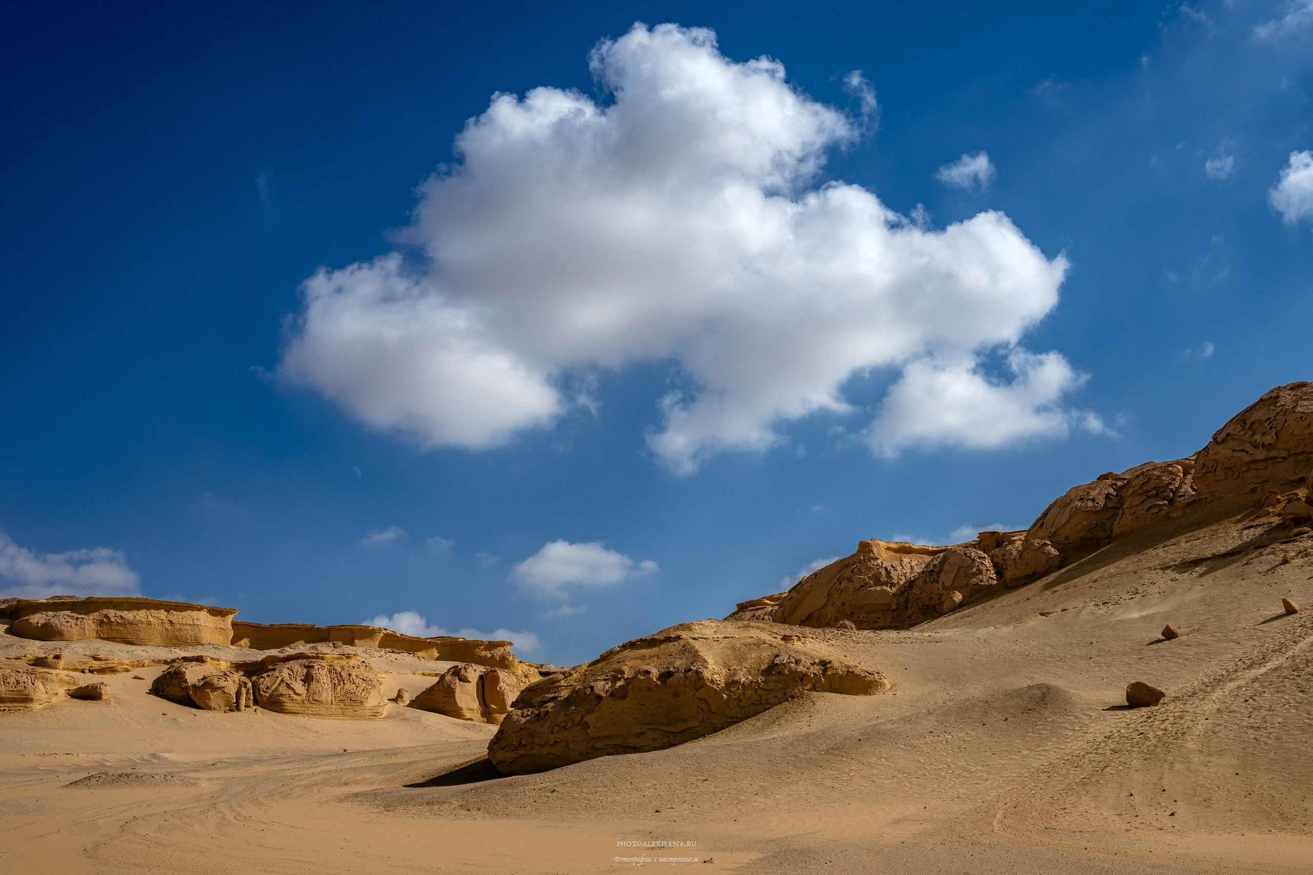 Снова в пустыню, за скелетами…. Авторские стильные фотокартины