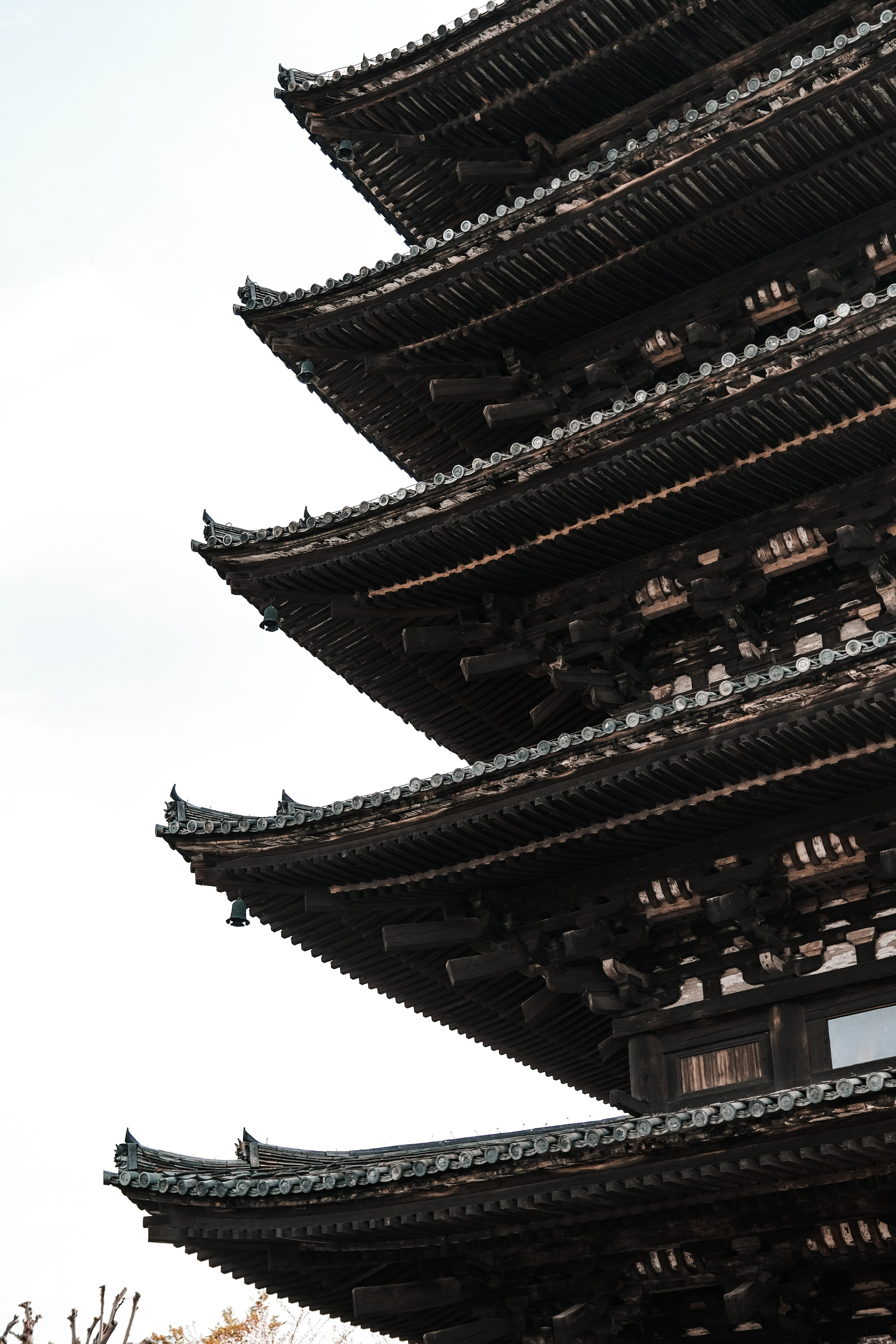 Nippon. Главная