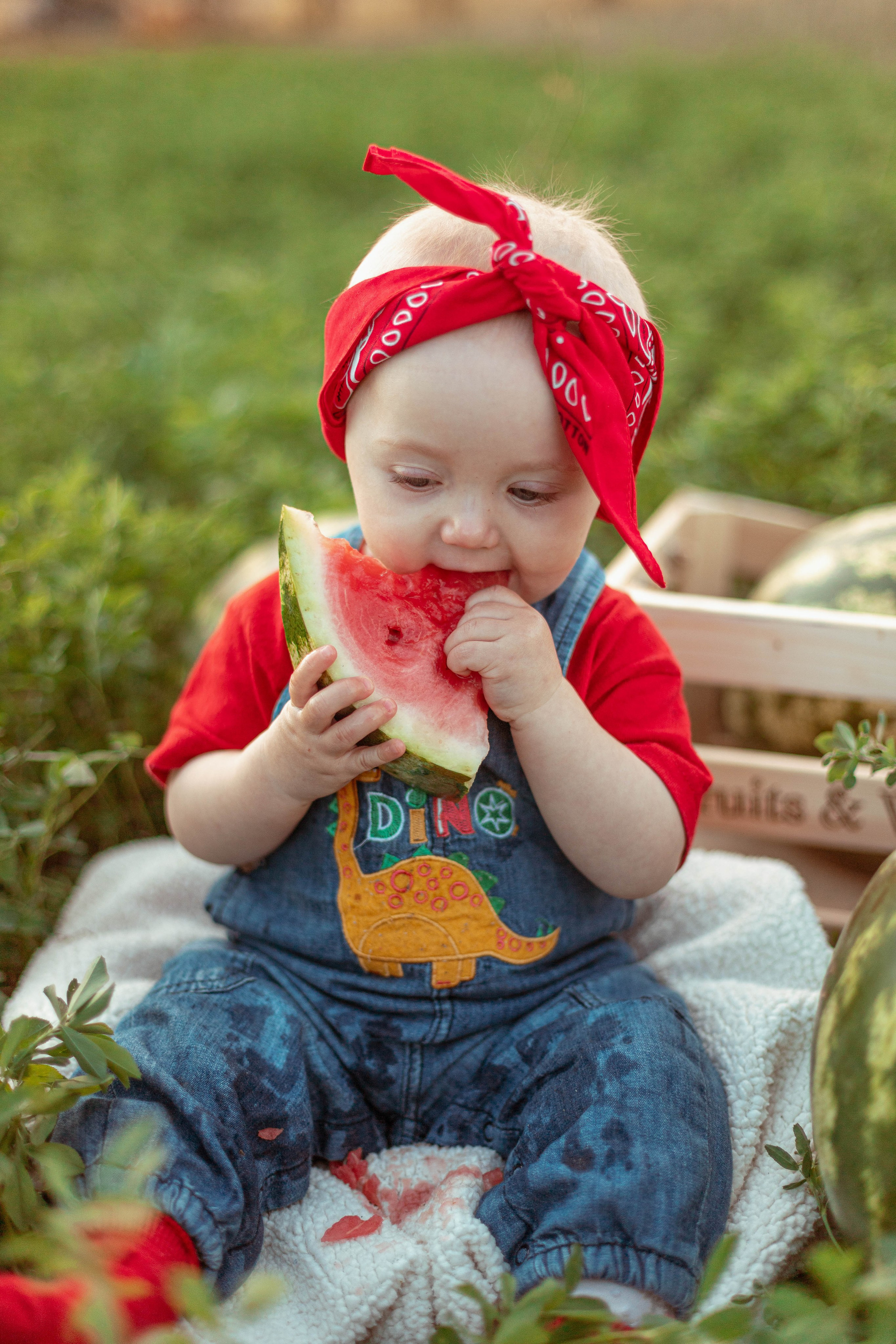 АРБУЗЫ. Семейный и детский фотограф в Крыму Екатерина Швец