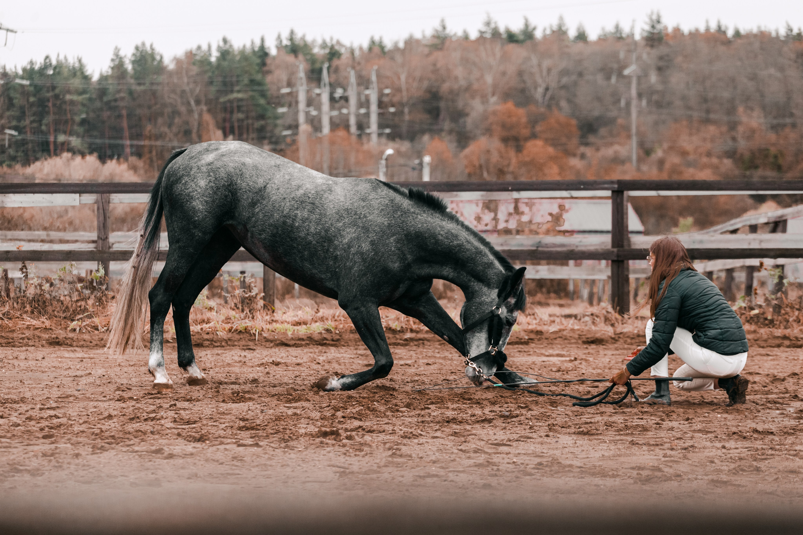 Аня и Джози. Фотограф-анималист Татьяна Степанова