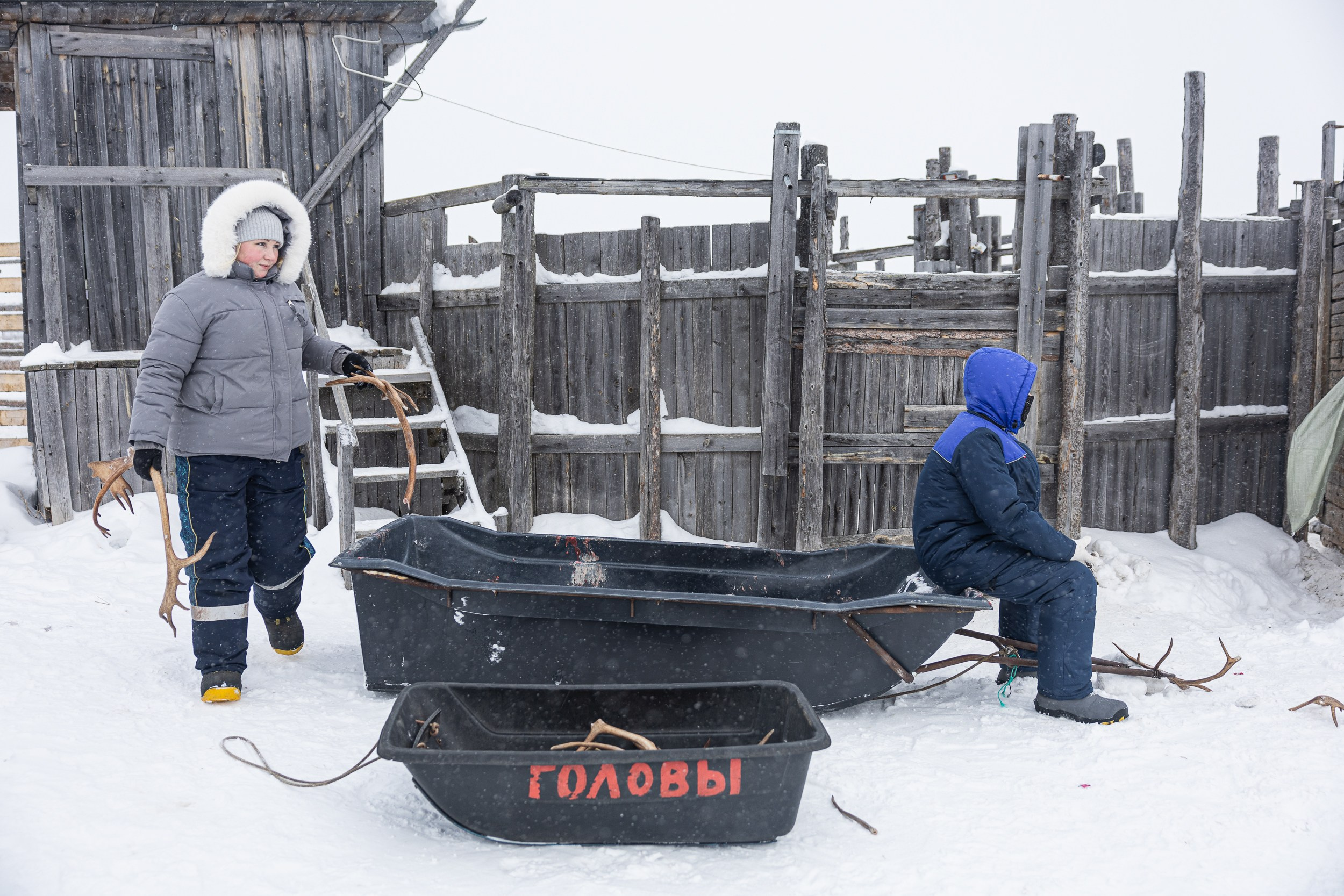 Ловозеро. Оленеводы. Алиса Северная. Визуальные исследования. Пейзажная и документальная фотография