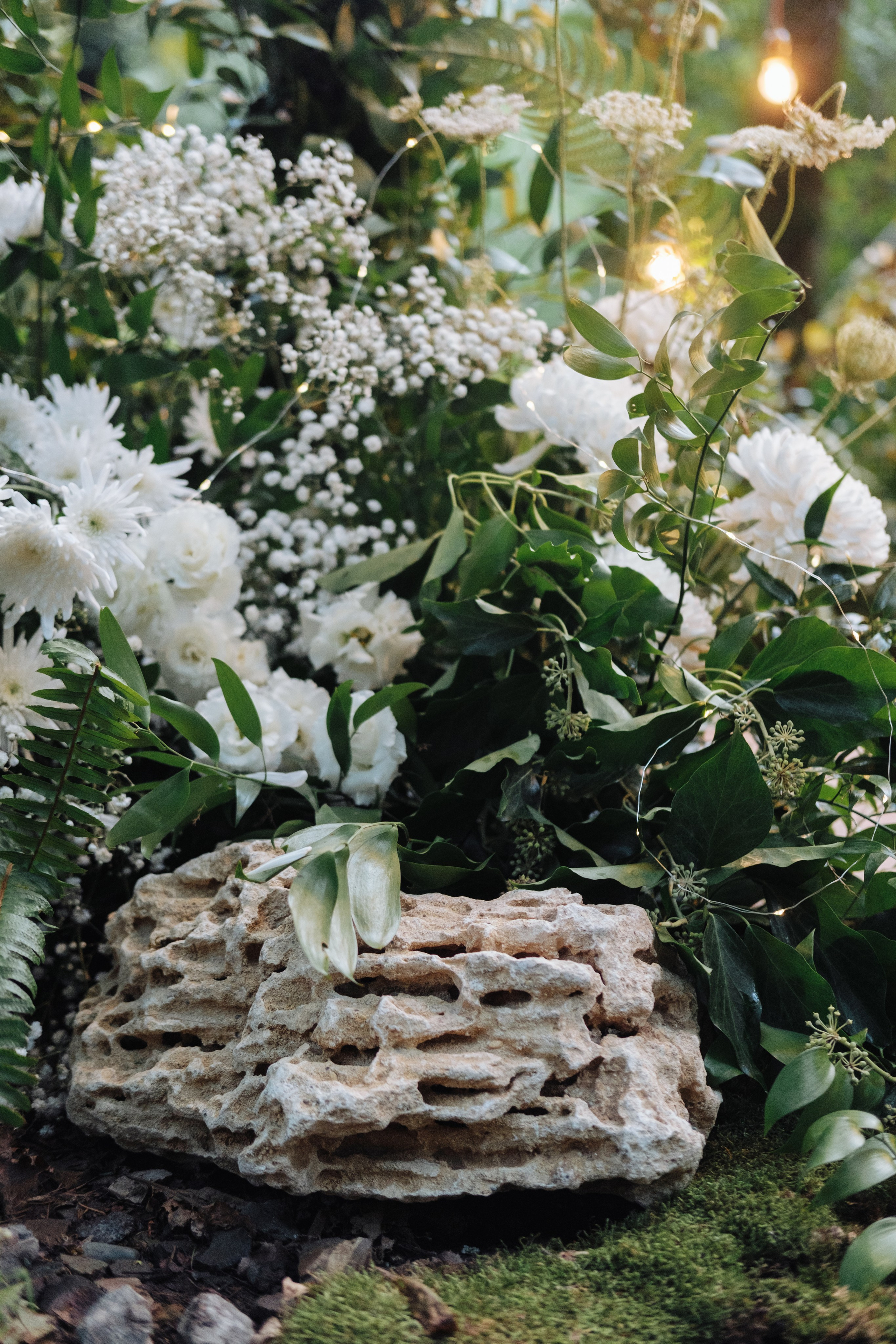 Кот и Дракон. Свадебный Видеограф Фотограф в Сочи