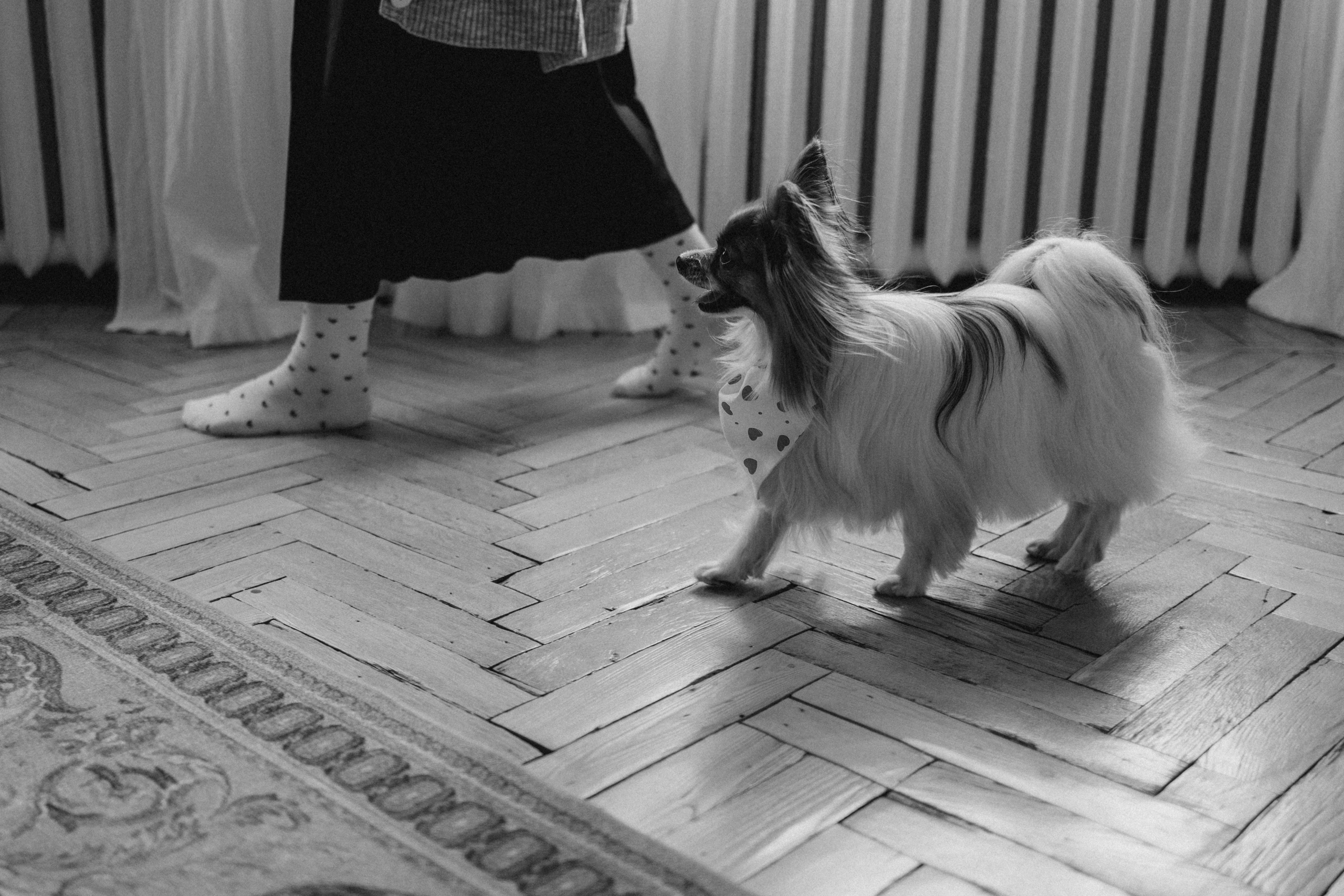 Женя и Брю. Фотограф — Анималист | Санкт-Петербург