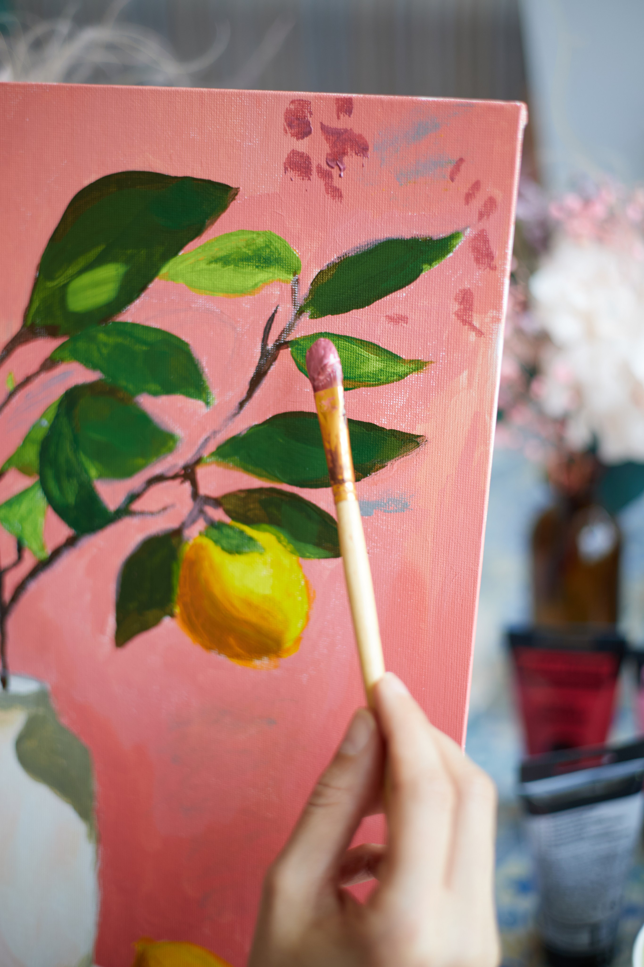 Album «Sofi». Фотограф Краснодар